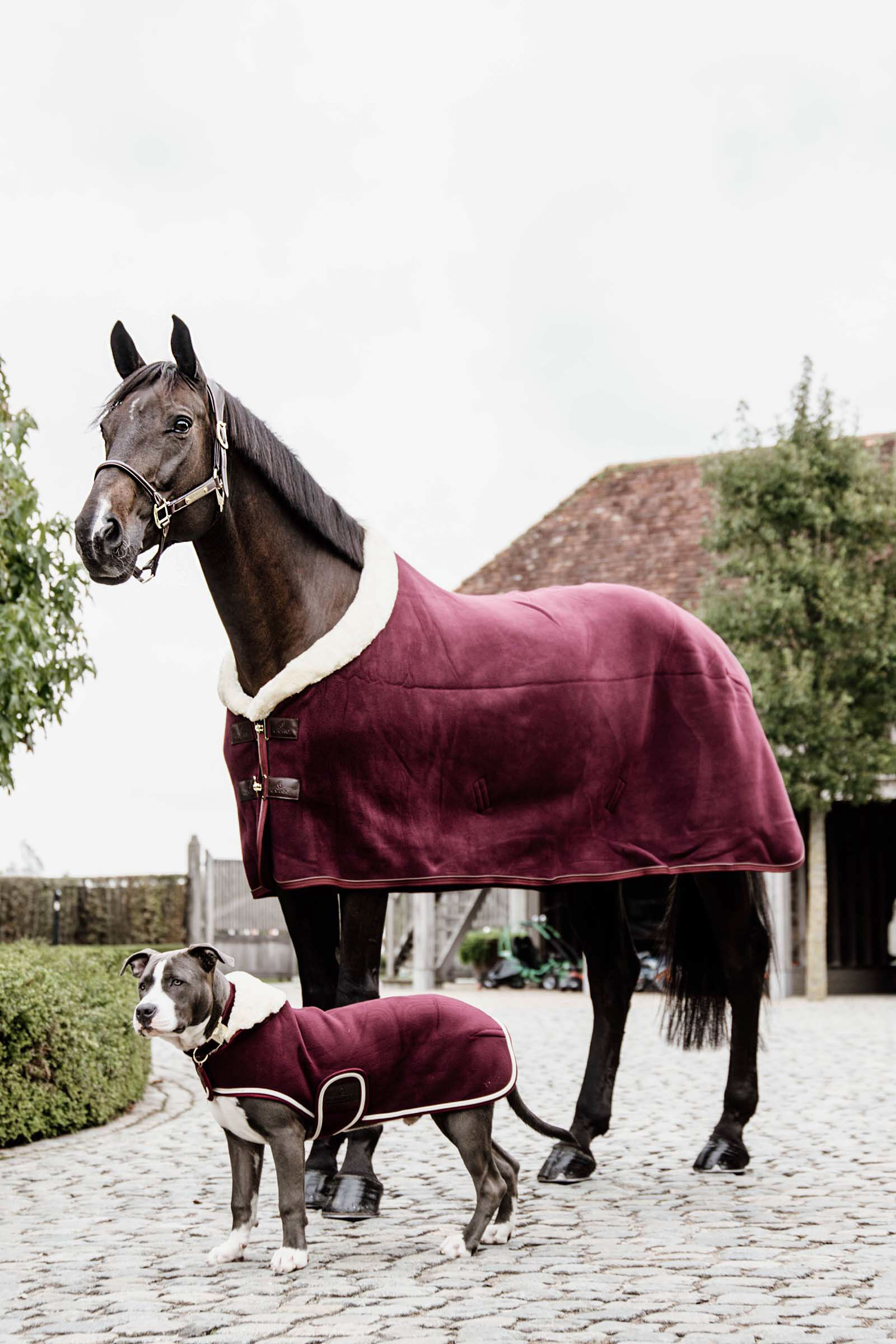 Fleece best sale horse rug