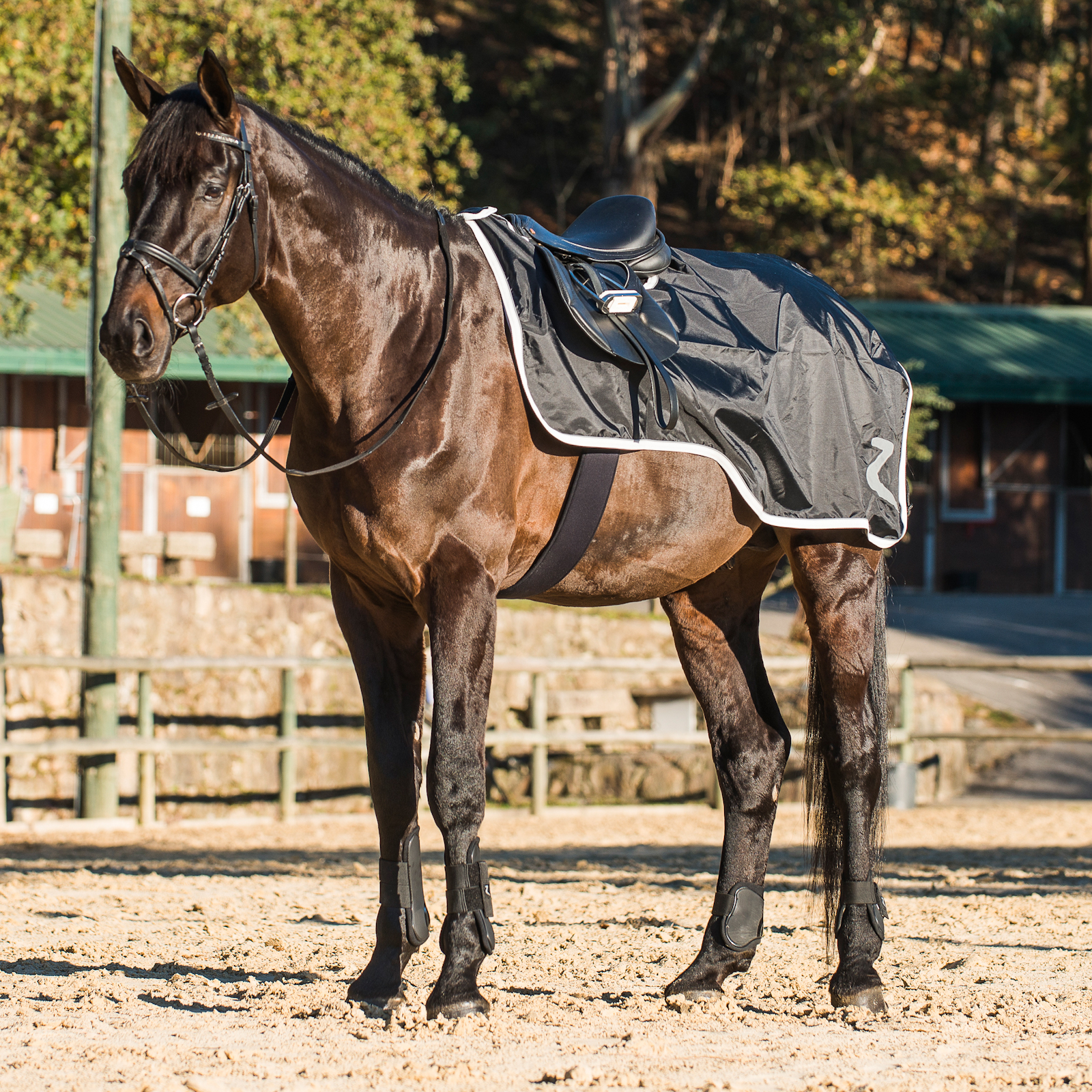 Horse Size Quarter Sheet, Exercise Sheet /rug for Horses Solid
