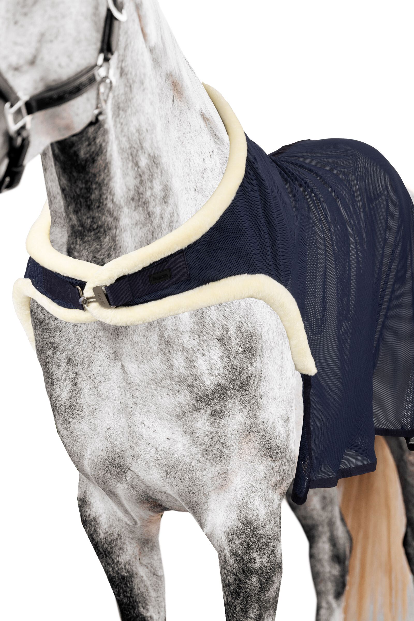 HORZE Graz Halter ピーコート ダークブルー 馬 : HORZE Graz Fleece Padded Halter - Black - Horse : 運動