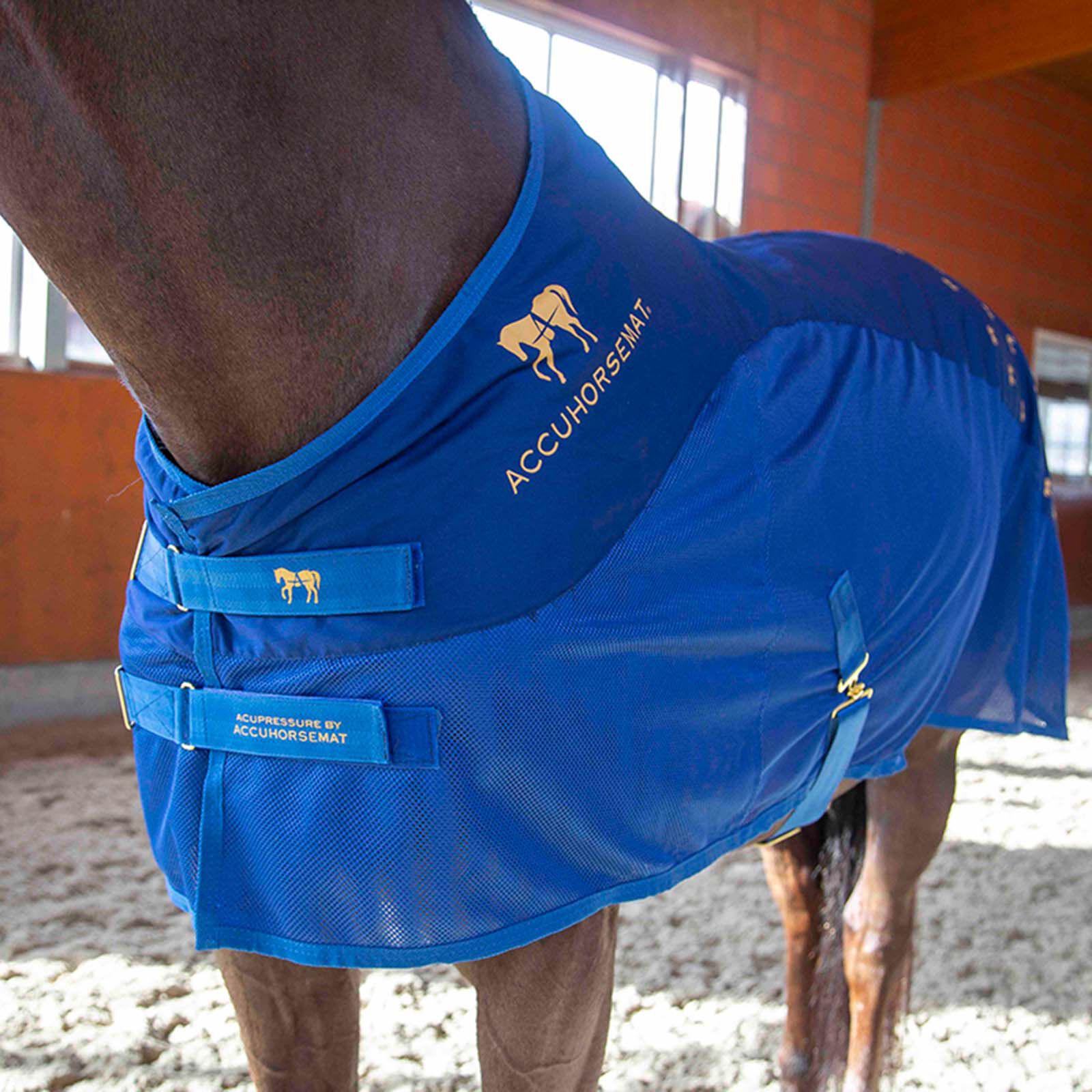 Accuhorsemat Cooler