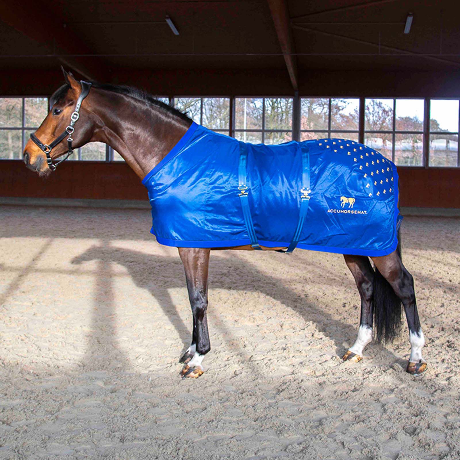 Accuhorsemat Original