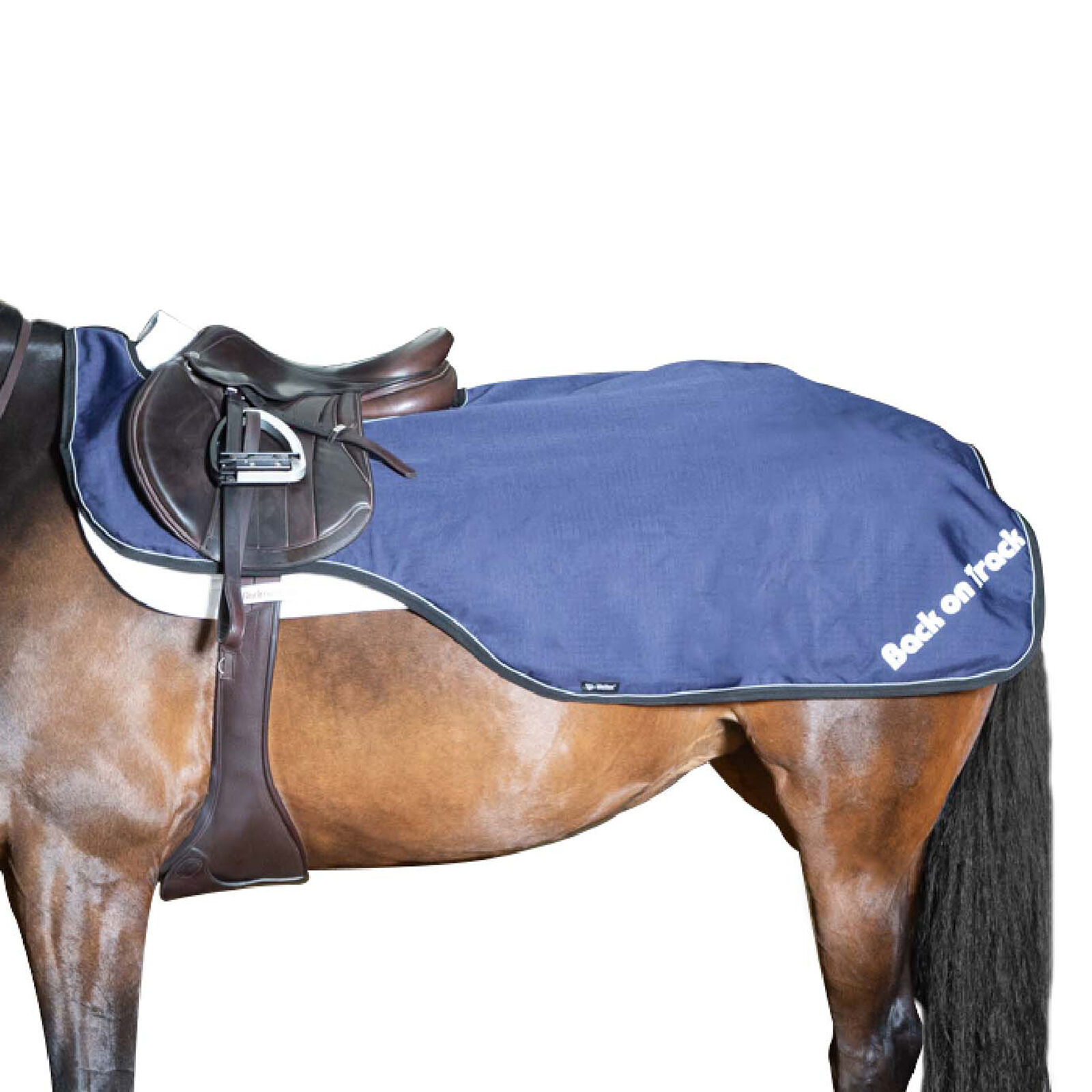 Back on Track Couvre Rein Imperméable Sammy, 50g, DB/AB, 125