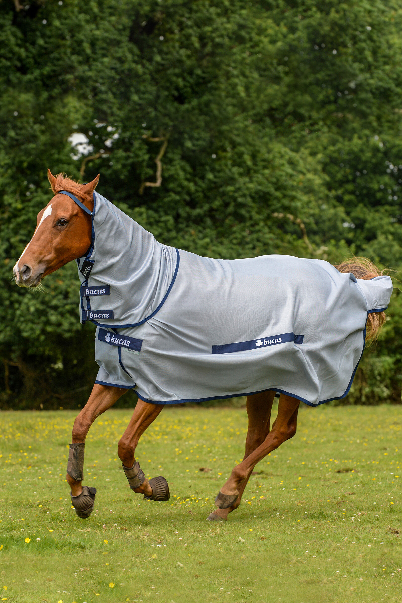Buzz-Off Ponydeken met Vaste Hals