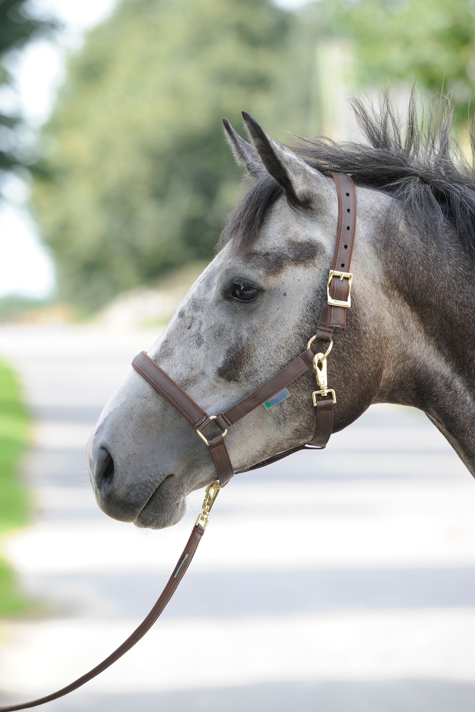 Bucas Dublin, Luxe Onderlegde Halster