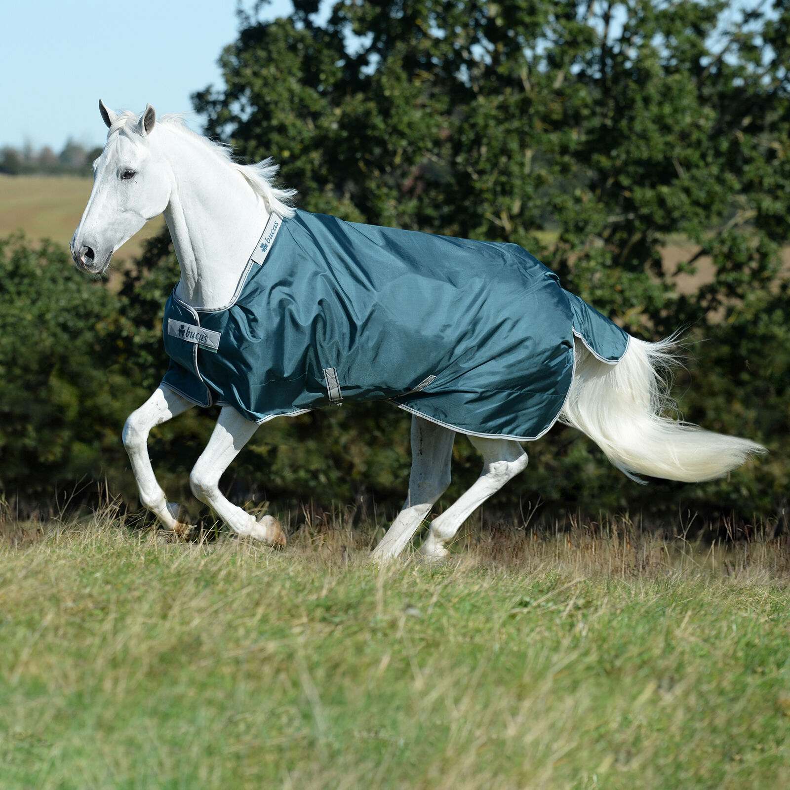 Bucas Atlantic Turnout Rug, 50g, Green, 155