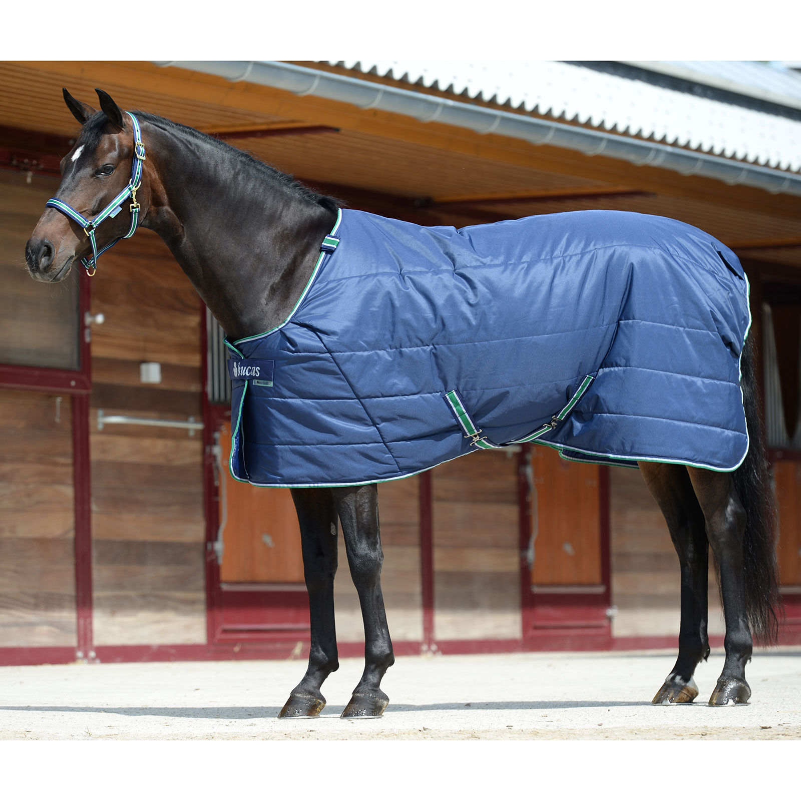 Bucas Stable Rugs