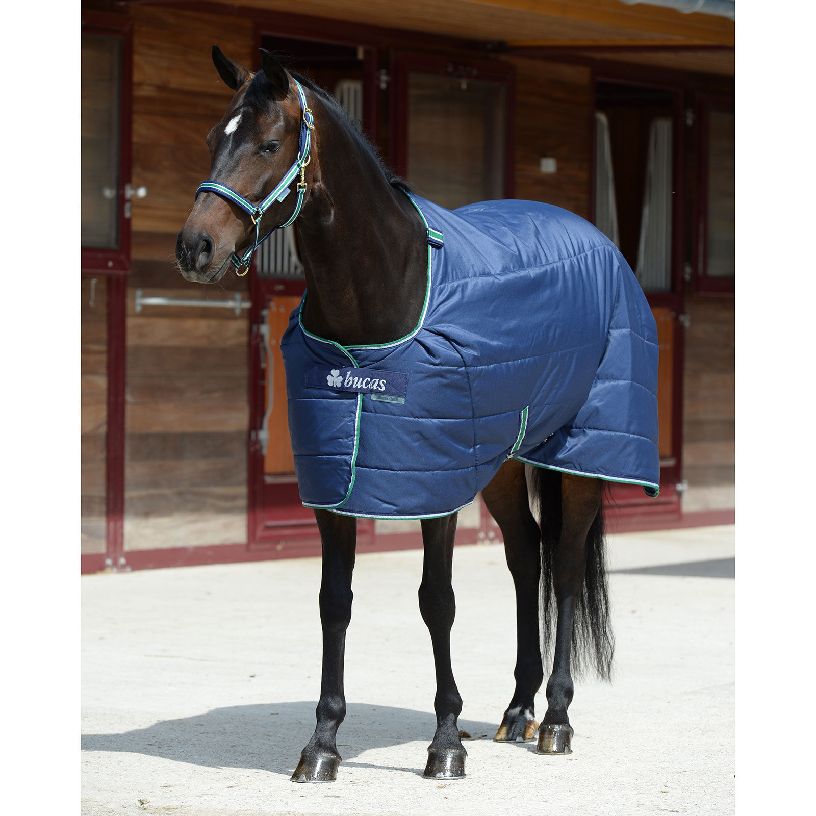 Bucas Quilt SF Under Rug, 300g, DB/AB, 135