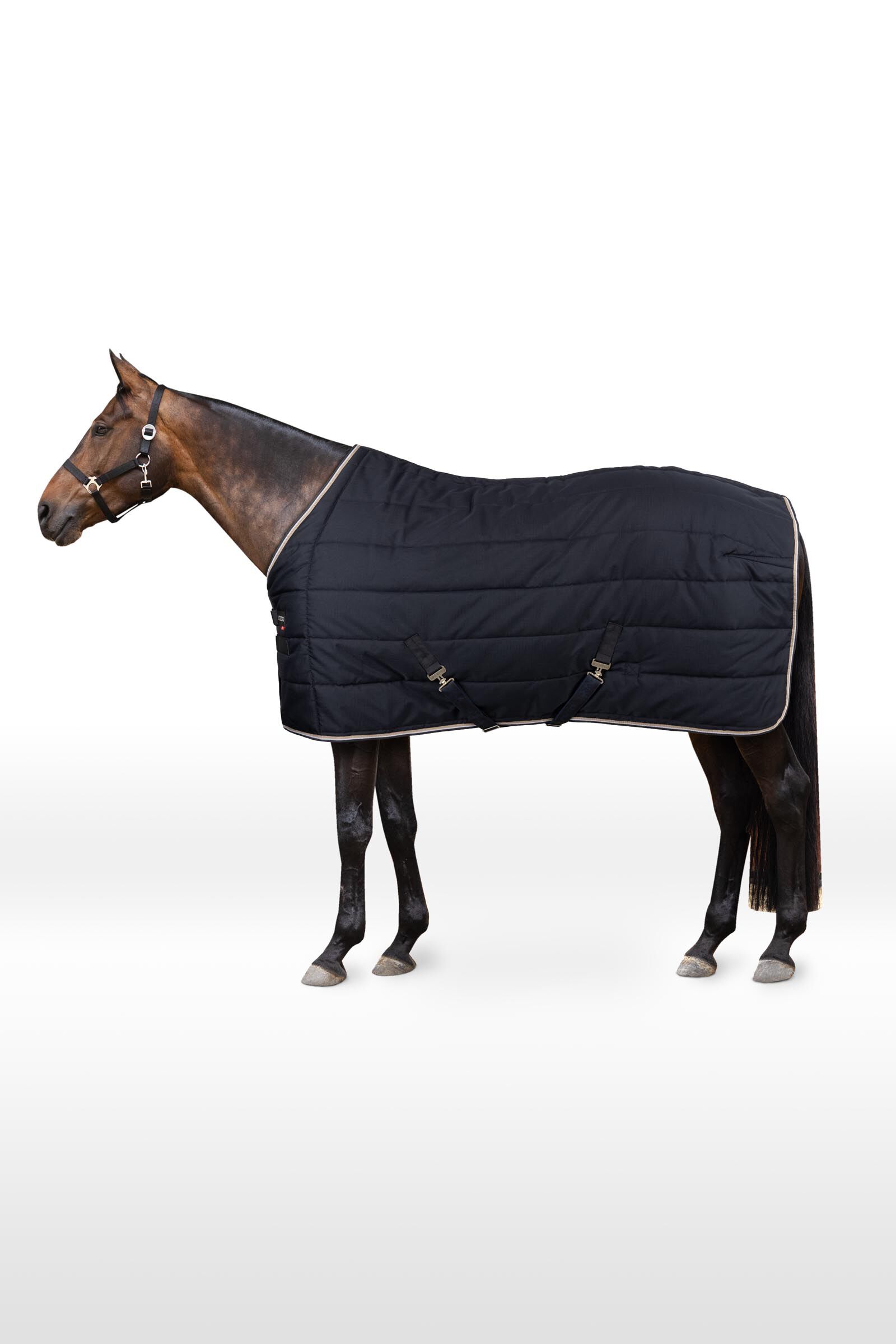 B Vertigo Corey, Coperta da scuderia 250 gr