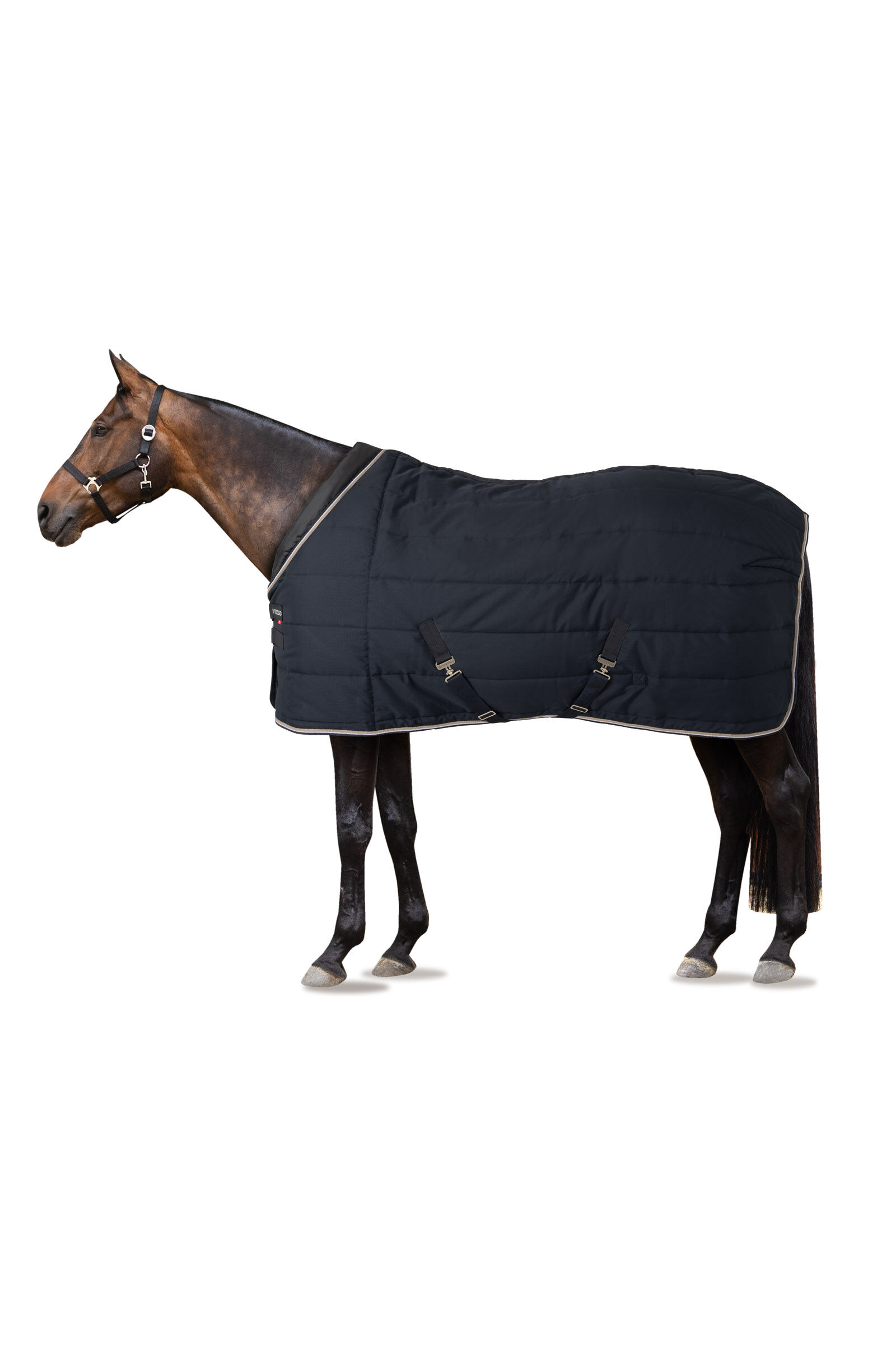 B Vertigo Tim Stable Rug, 400g, Dark Navy, 165