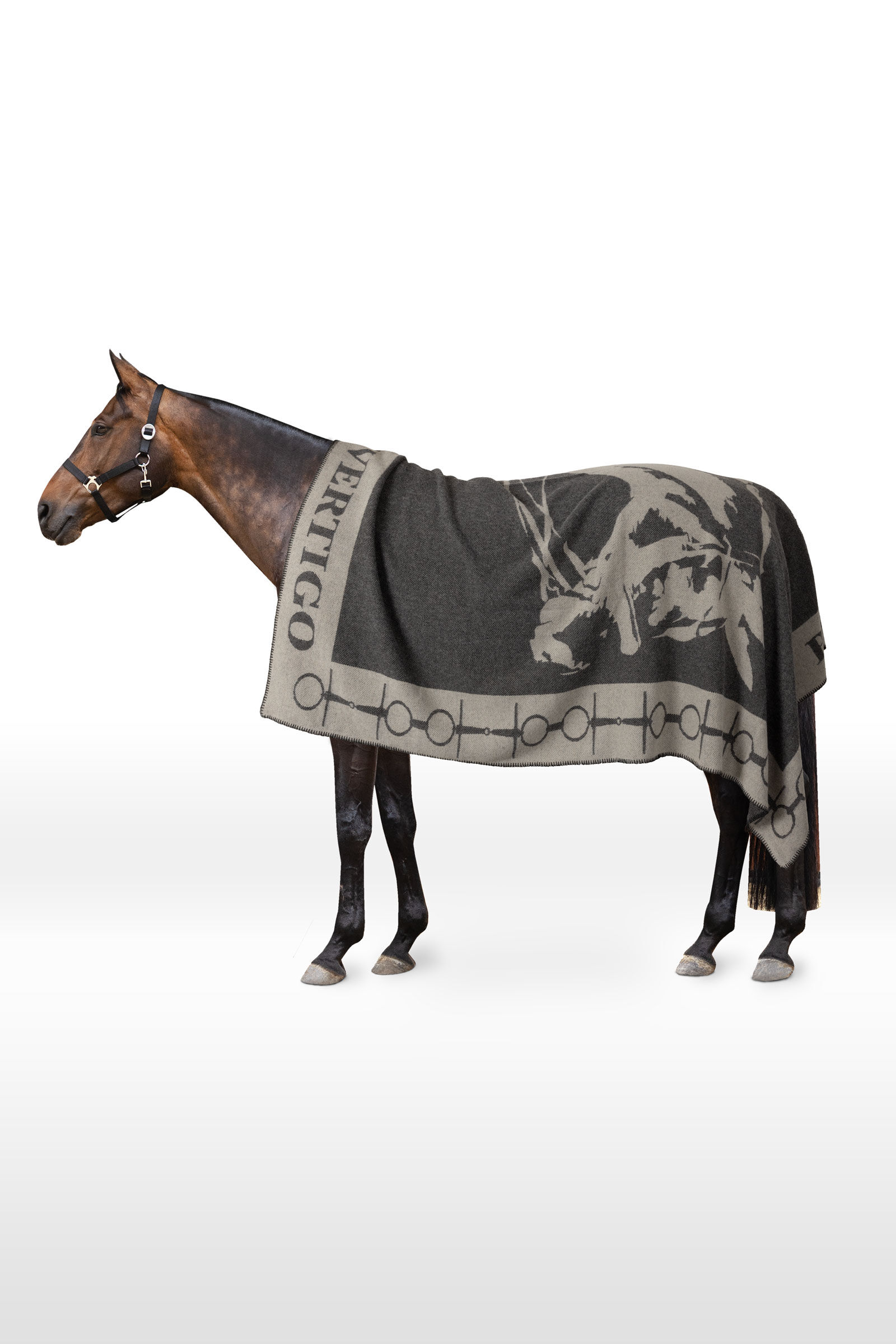 B Vertigo gemusterte Decke mit Pferd & Gebiss