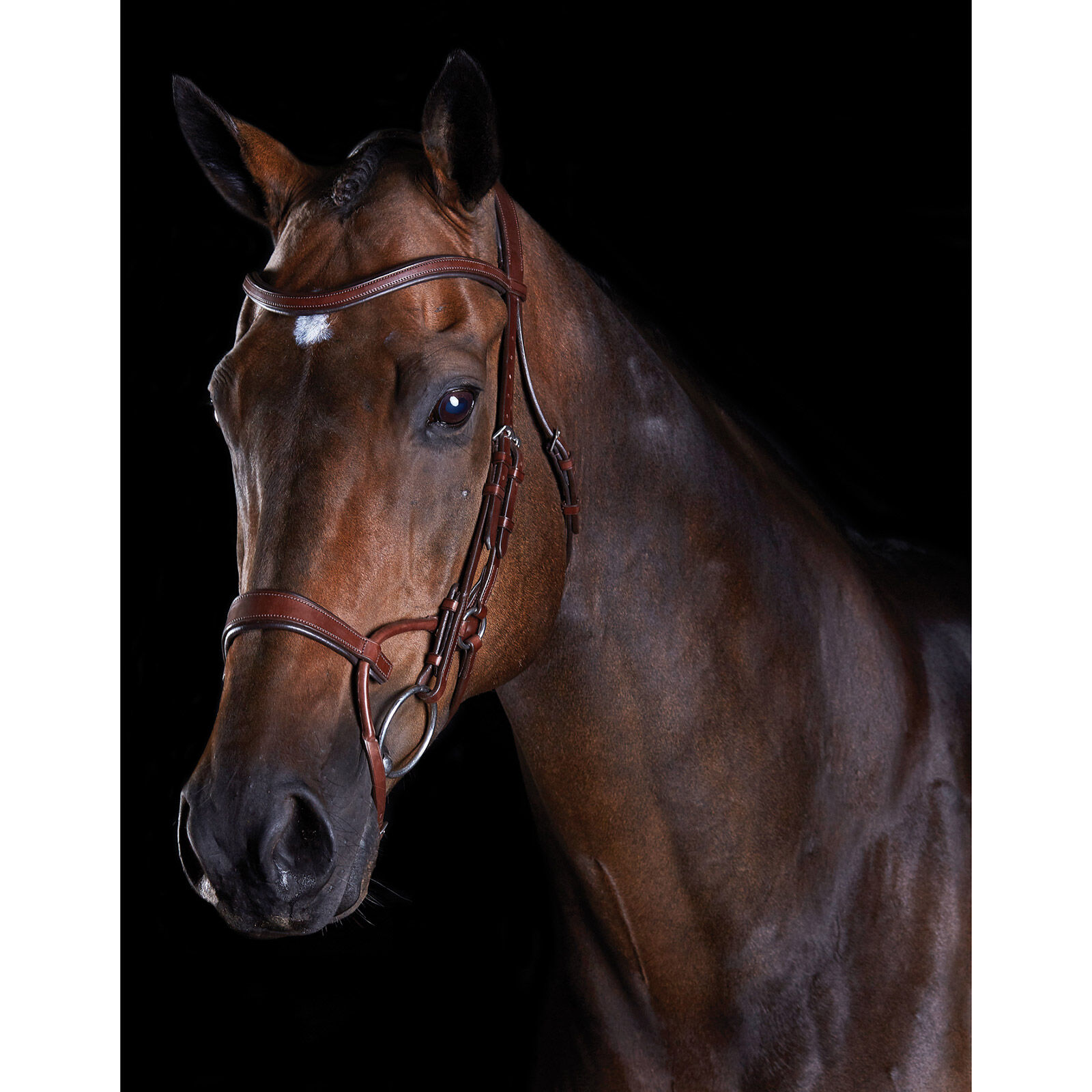 Collegiate ComFiTec Training Bridle, Brown, C