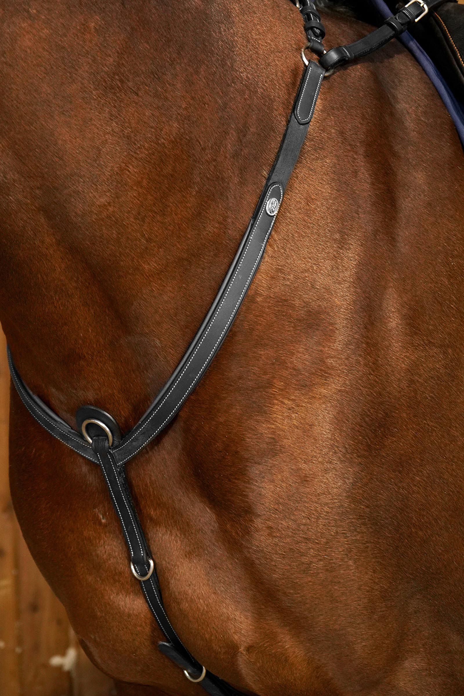 Dy'on Working Bridge Breastplate
