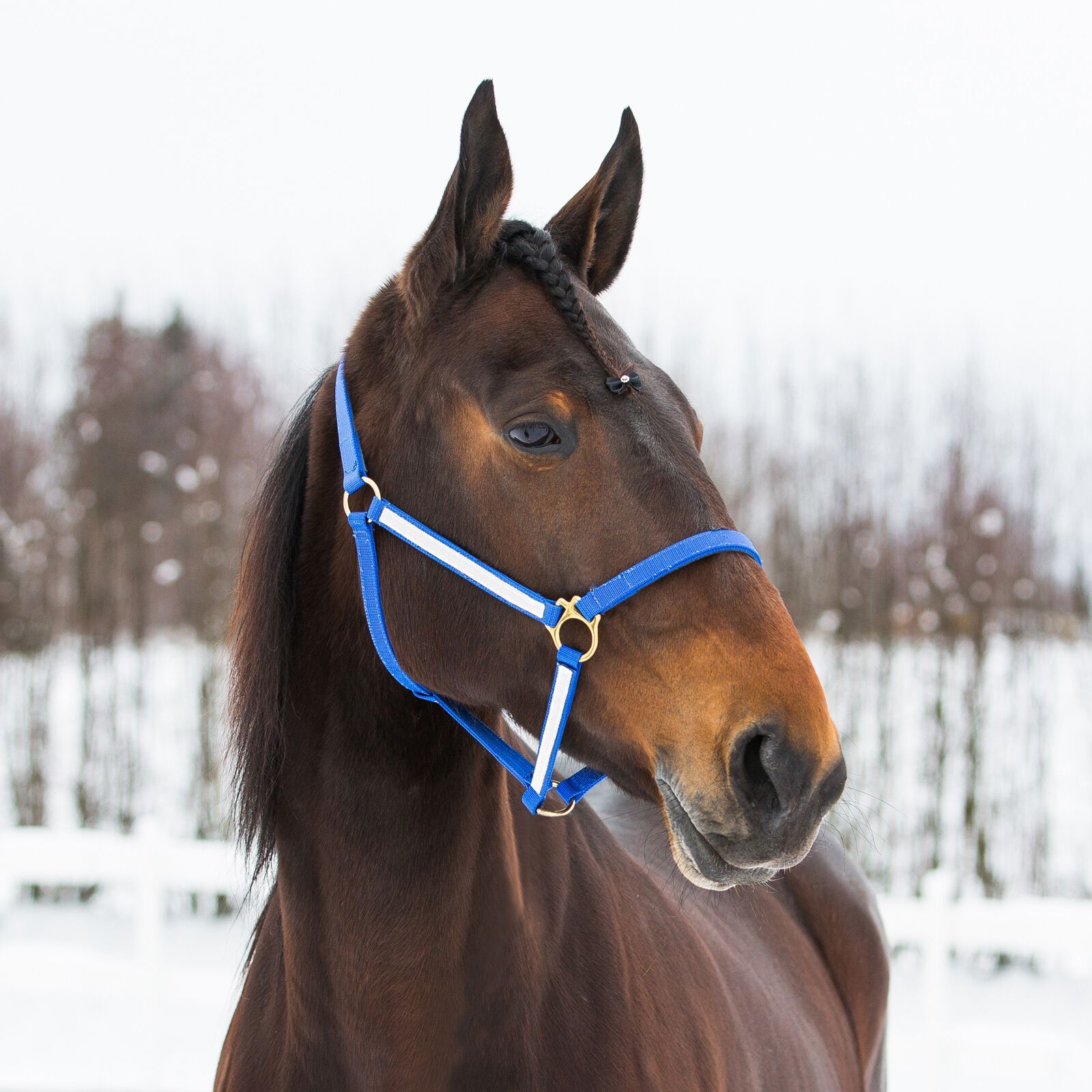 Finntack Pro Yankee nylongrimma