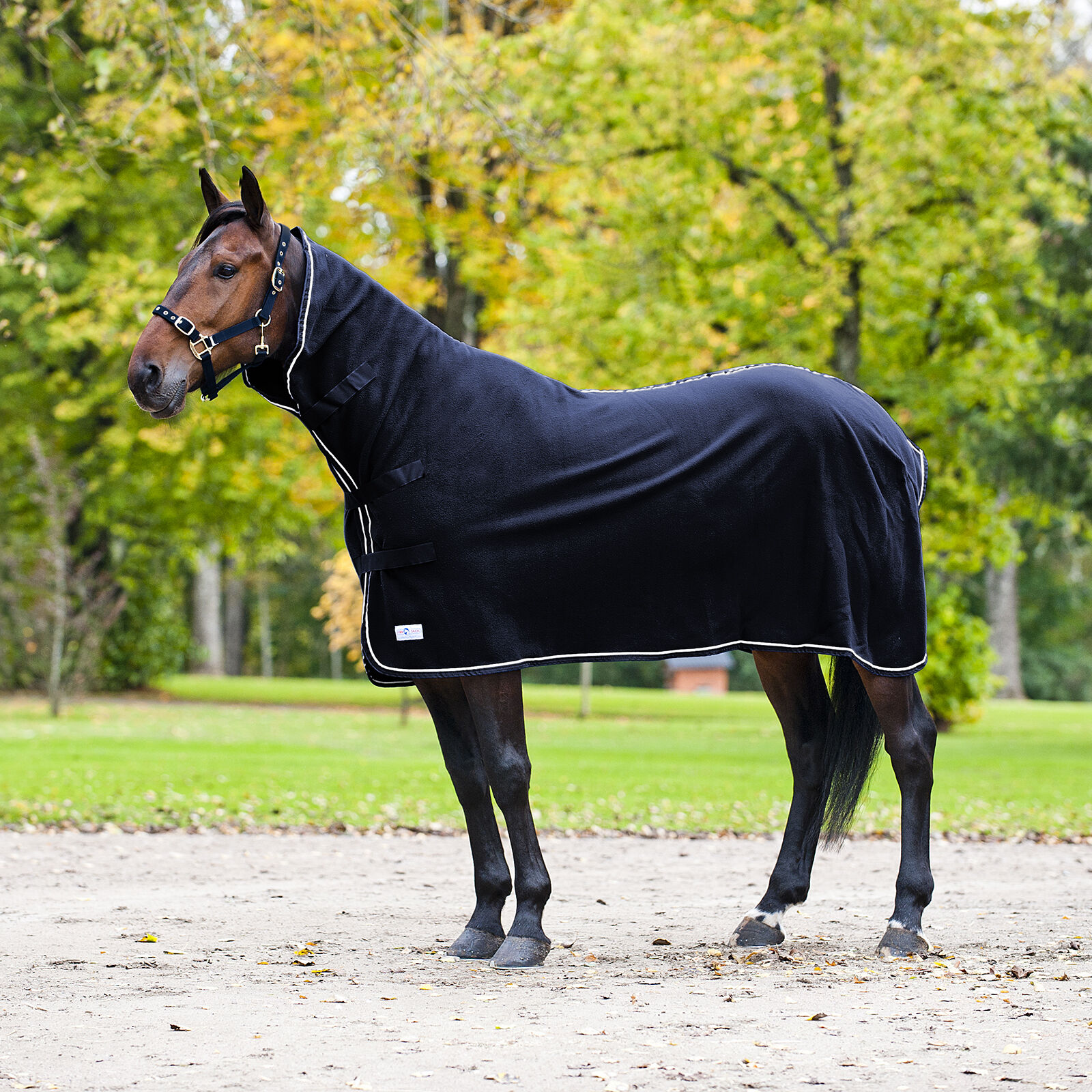 Finntack Pro High Neck svettäcke med hals