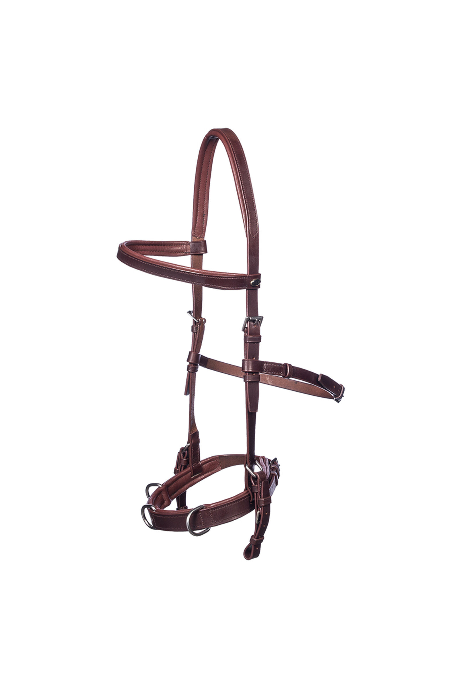 F.R.A. Freedom Riding Articles Baro kaptoom, leer