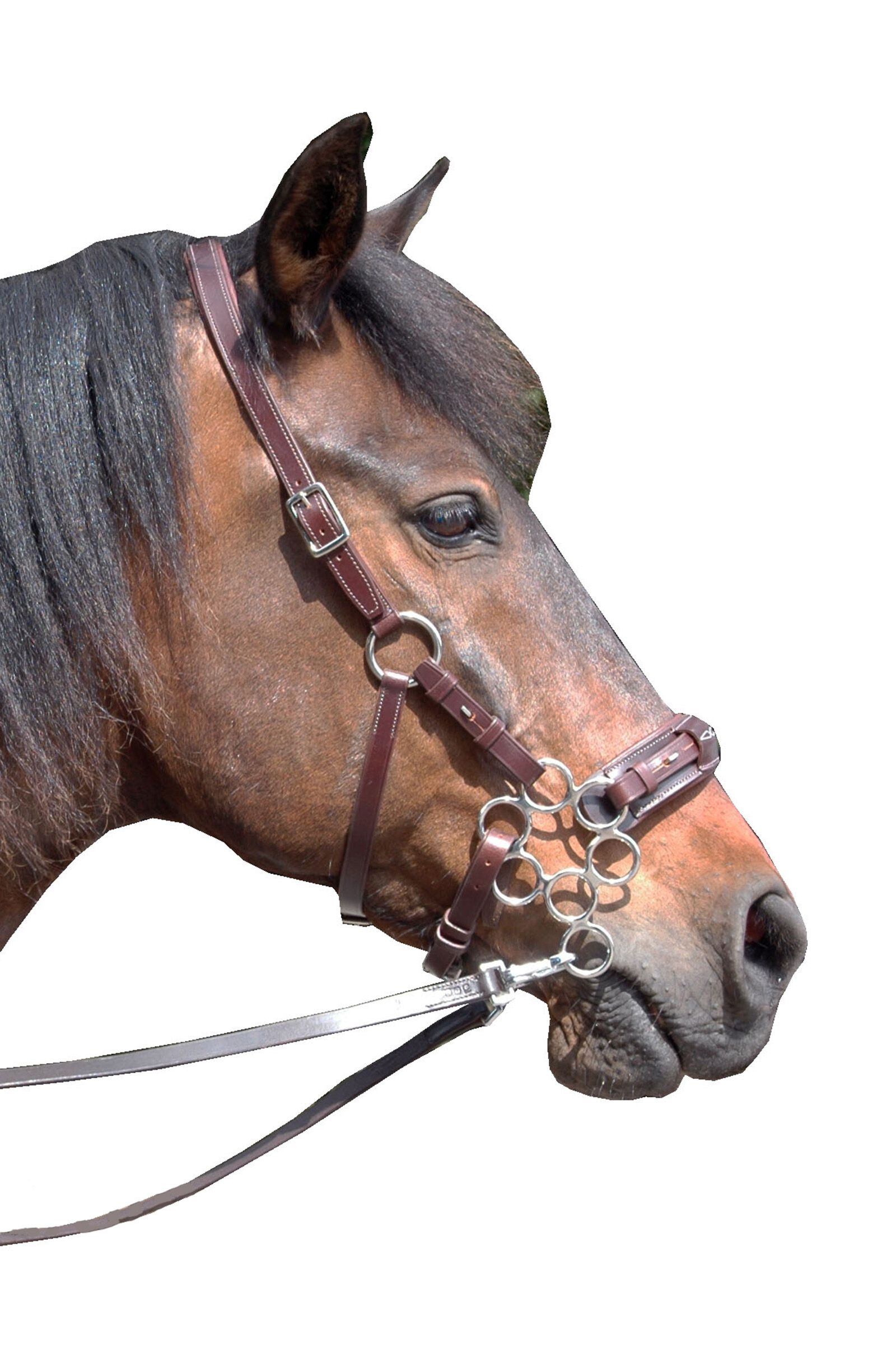 F.R.A. Freedom Riding Articles Aram Hackamore (System 2) Leather, Jaw Straps, w/ Scissors, Dark Brown, ONE SIZE