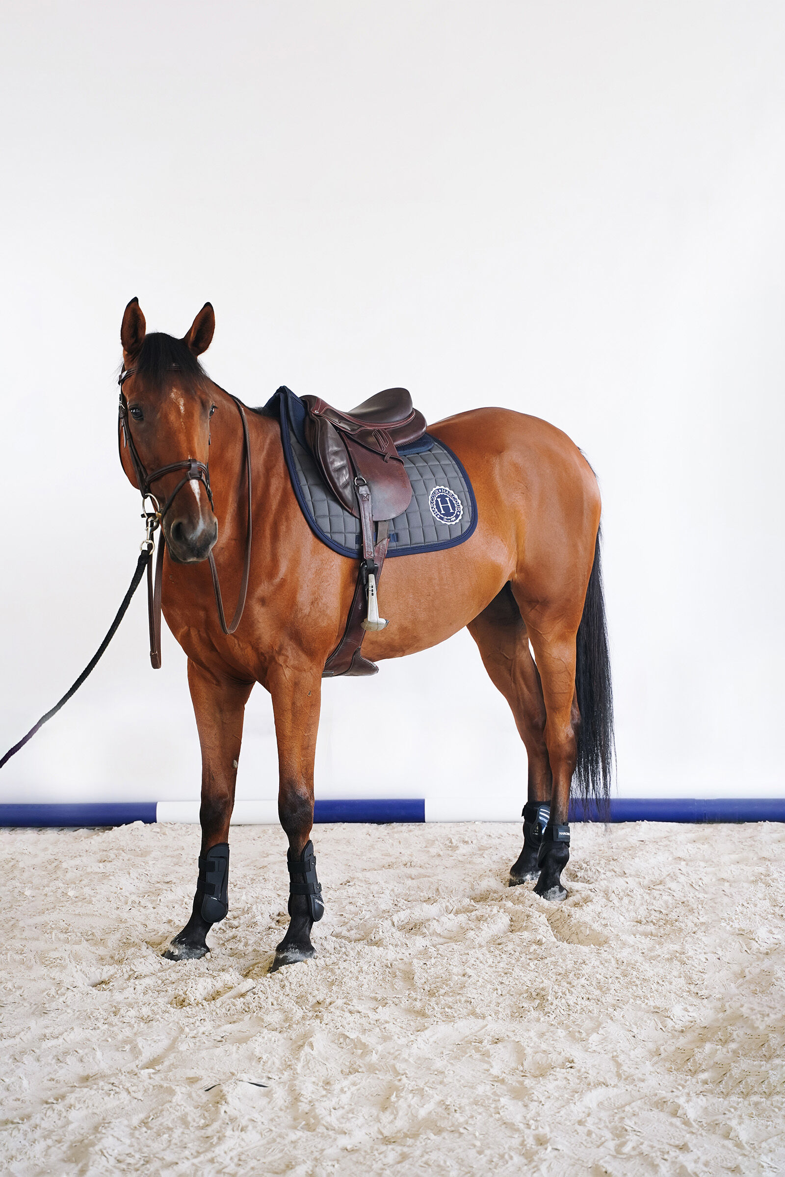 Harcour Safine dressuurzadeldek