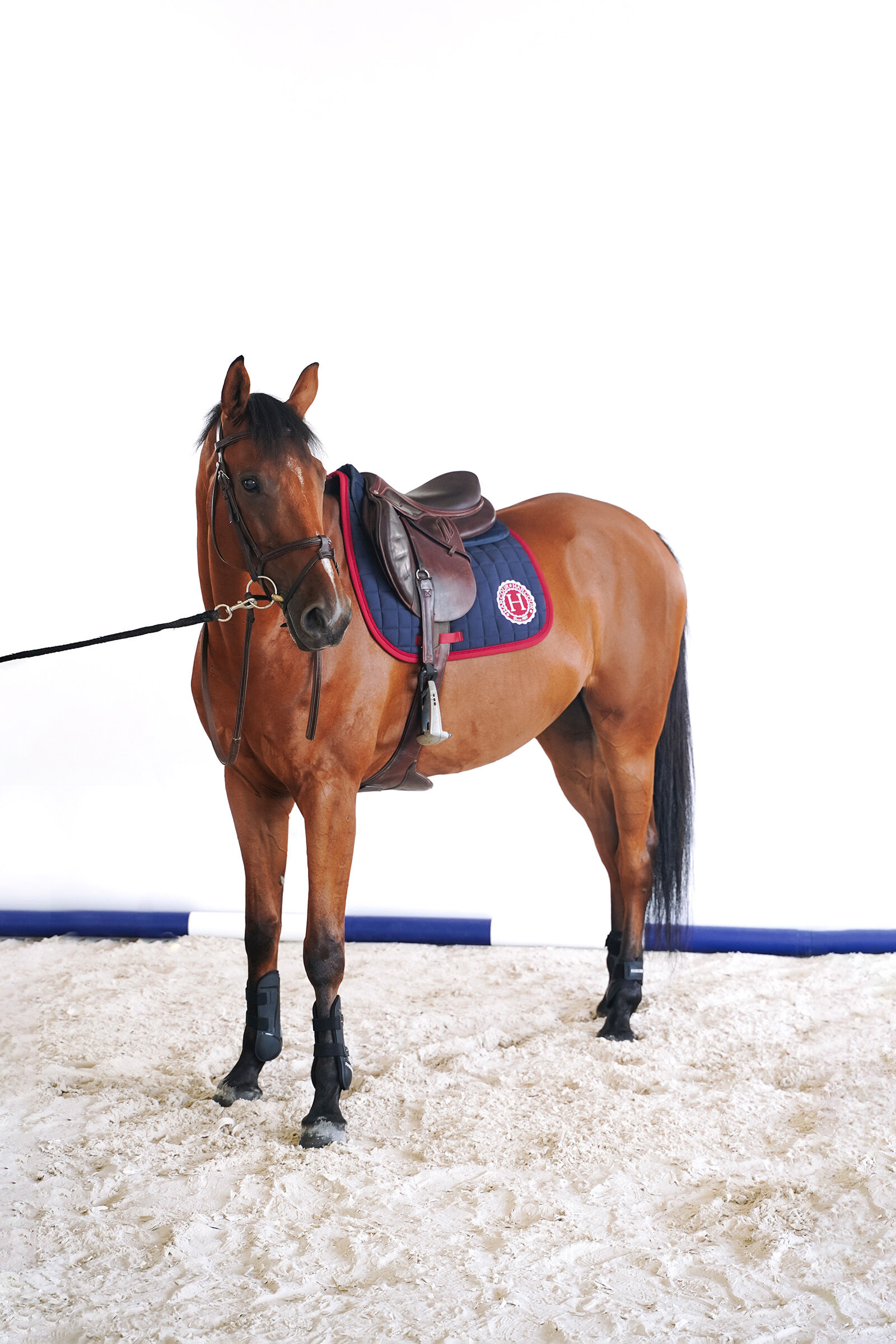 tapis de selle dressage Safine Harcour