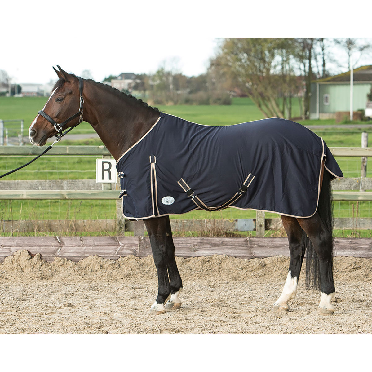 Harry's Horse méhsejt nyári szőnyeg, DB/AB, 75