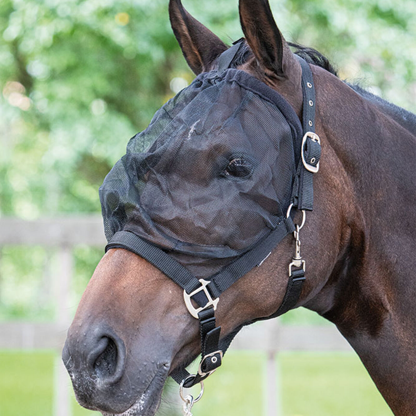 Kantar z maską przeciw owadom Harry's Horse
