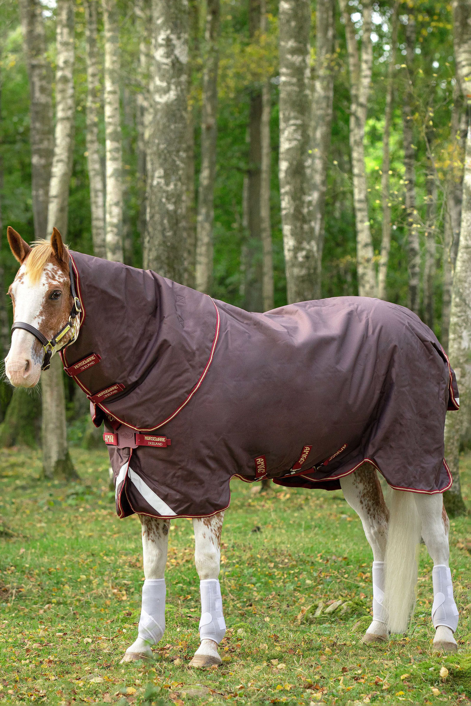 Horseware Amigo Bravo 12 Plus utetäcke med avtagbar hals, 100g, Brown/Red/Gold/Red, 160