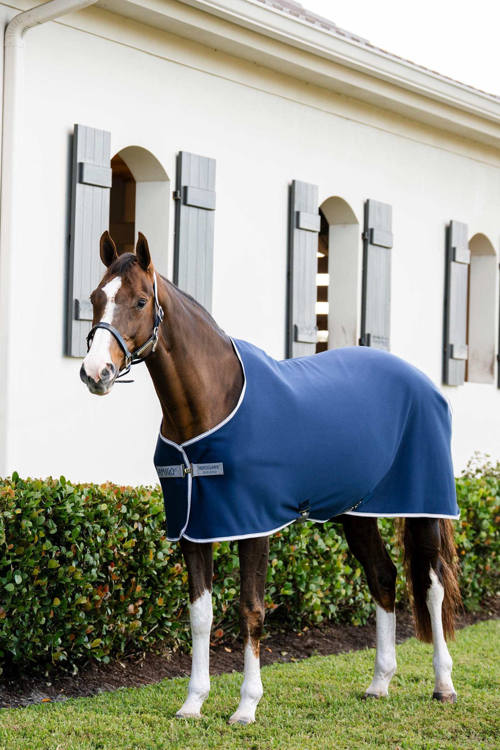 Horseware Amigo Jersey Cooler