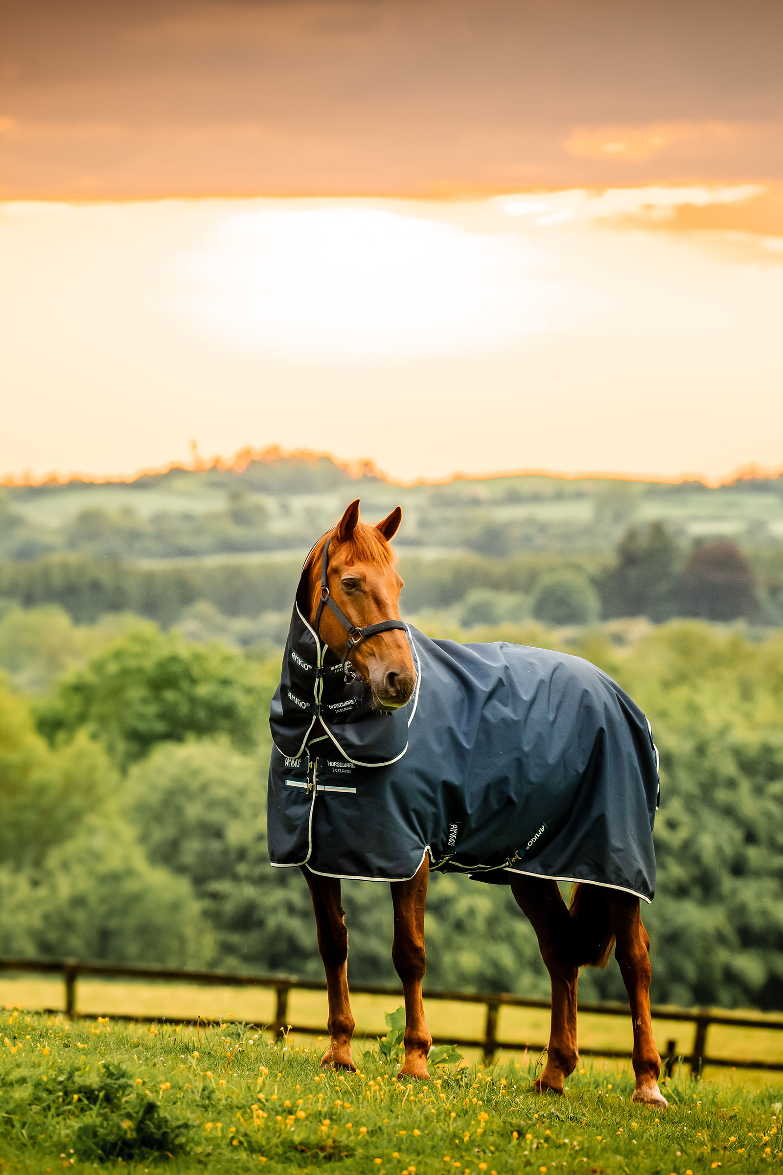 Horseware Amigo Ripstop 900D Plus couverture d'extérieur avec partie de cou amovible, 100g