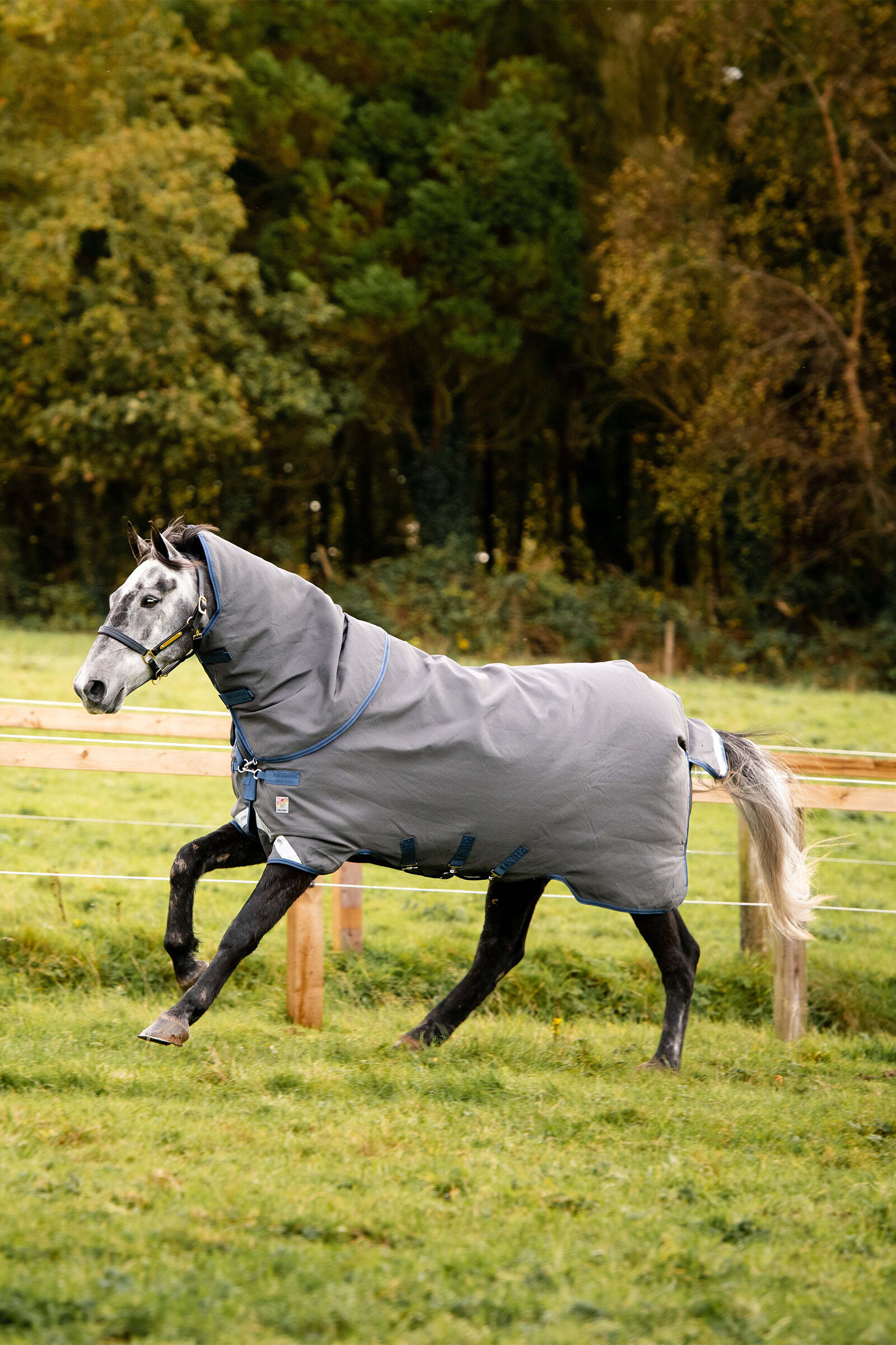Horseware Rhino Plus HexSTOP Vari-Layer Couverture de Pâturage, 100g
