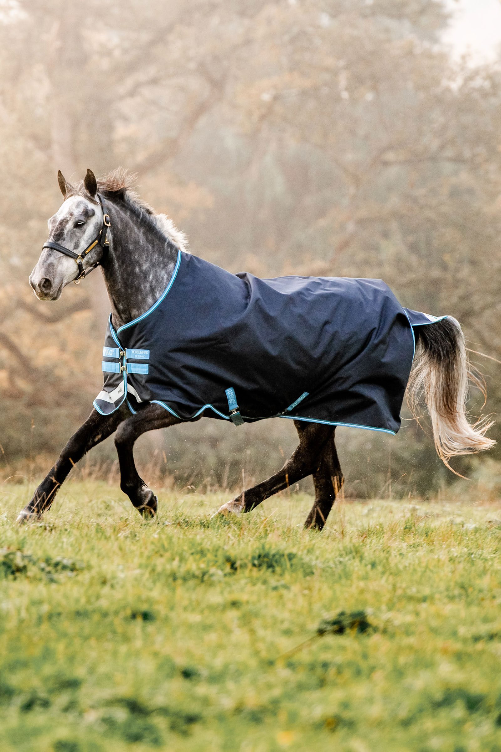 Horseware Amigo Bravo 12 utetäcke, 100g, Navy/ Turquoise, 125