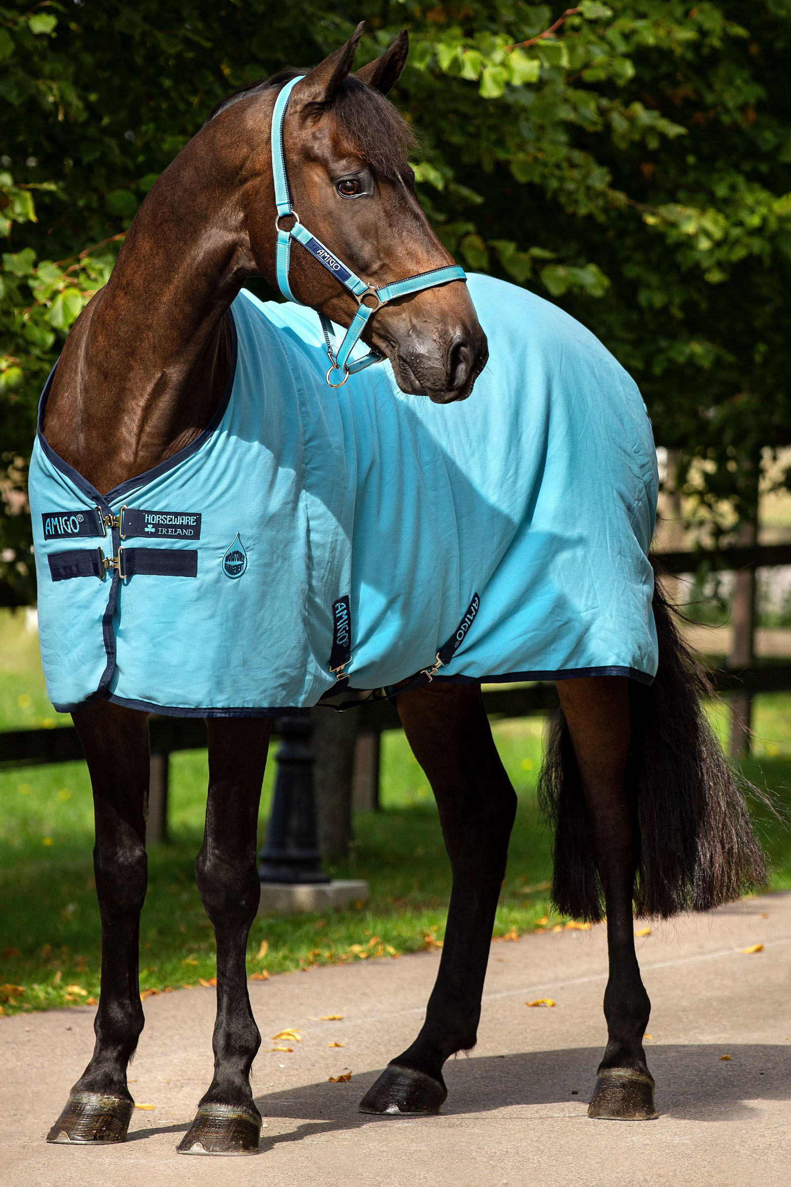 Horseware Amigo Coperta da stalla, 0g, Delphinium Blue / Navy, 140