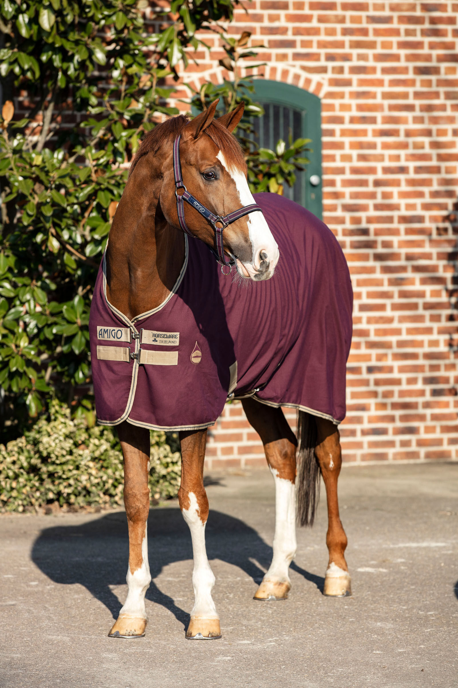 Horseware Amigo Stalltäcke, 0g, Fig/Navy/Tan, 130