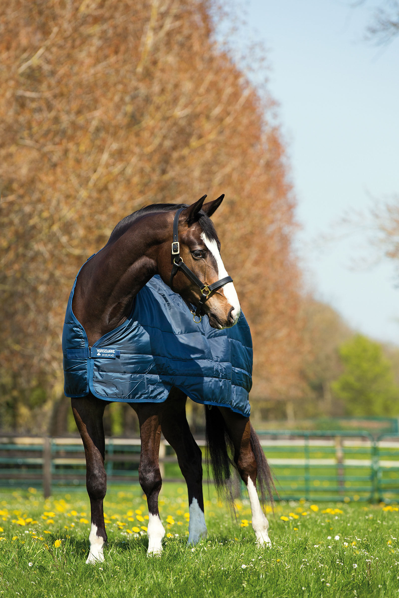 Horseware Liner undertäcke, 200g