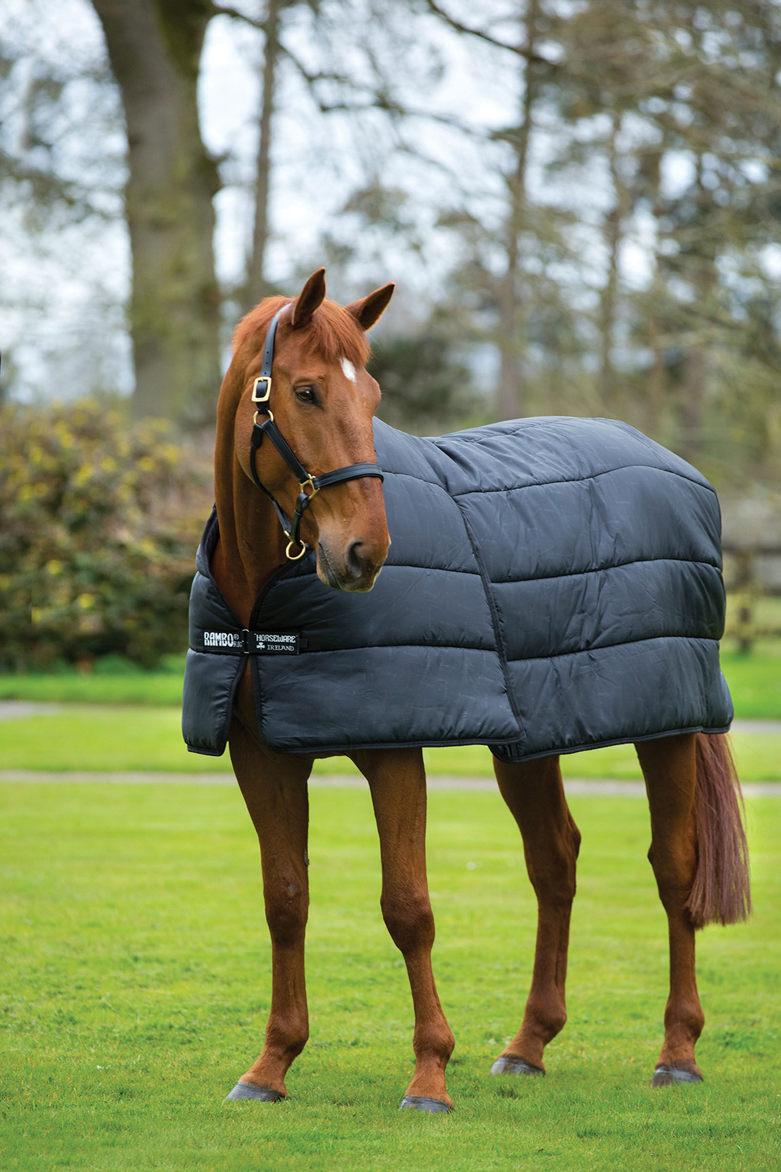 Horseware Rambo Optimo Liner 200 g