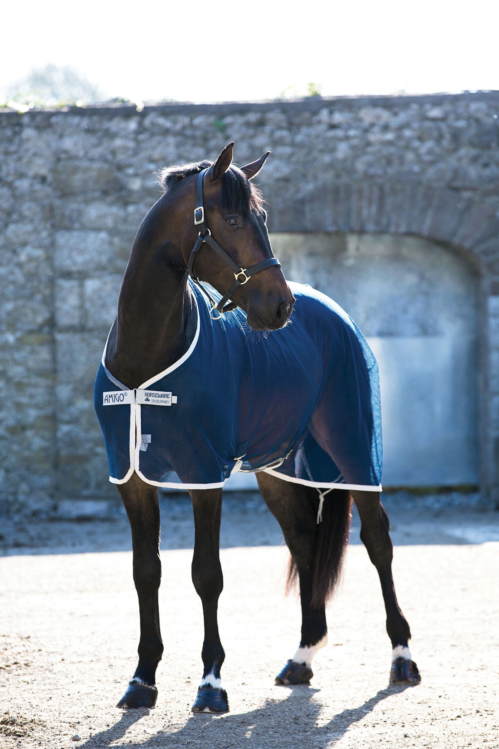 Horseware Amigo Net Cooler Abschwitzdecke  Dark Blue/Silver 145 unisex product