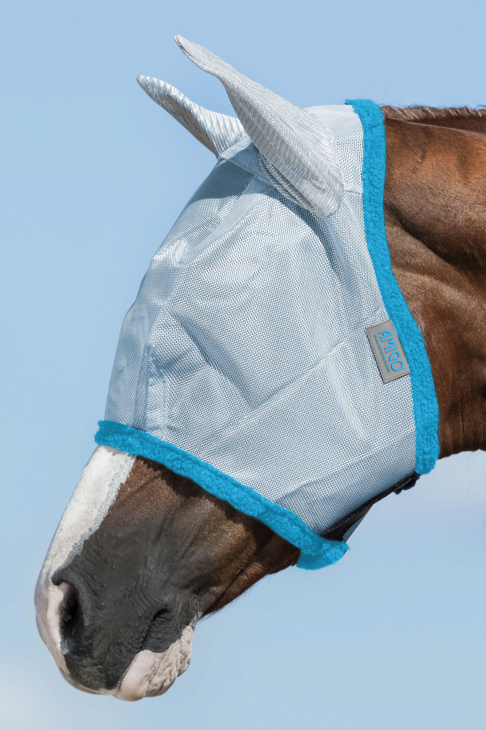 Horseware Amigo flughuva  Baby Blue / Electric Blue F unisex