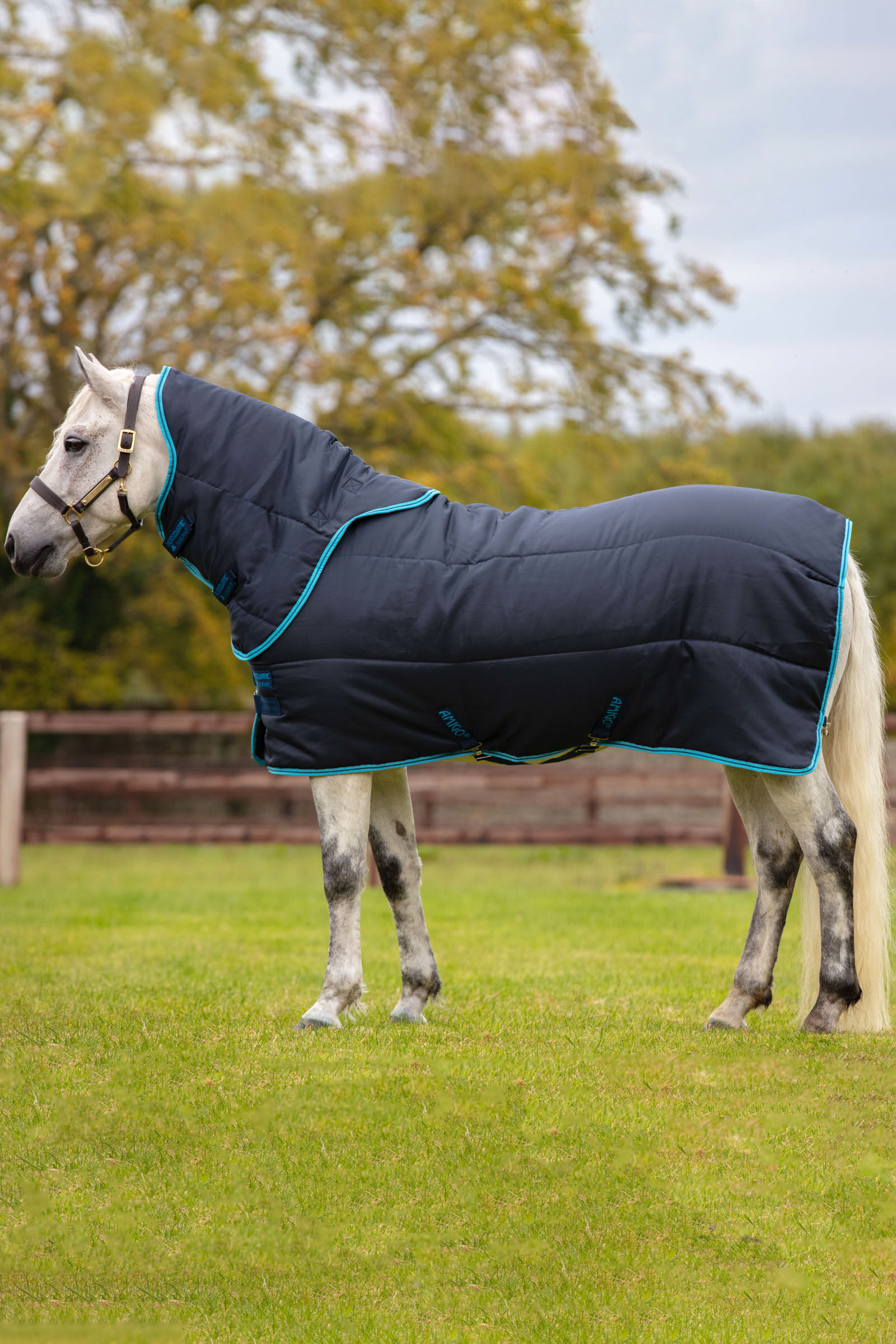 Horseware Amigo Insulator Pony Plus, 200g., Navy/Electric Blue/Navy, 85
