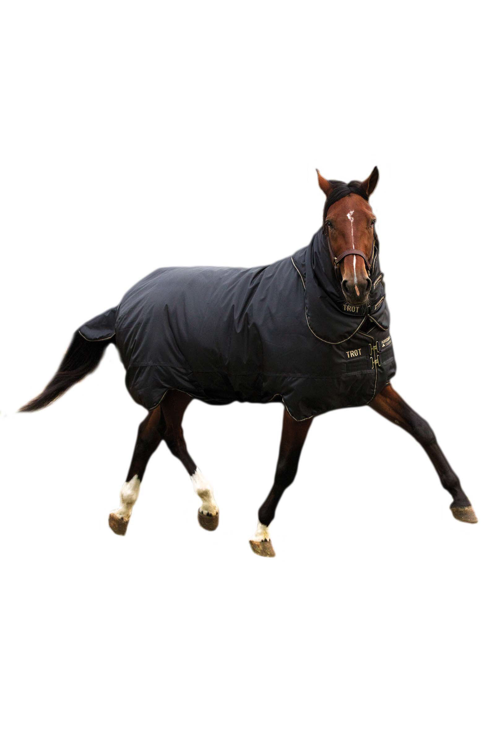 Horseware Trot Plus Utetäcke med avtagbart halstäcke, 350g