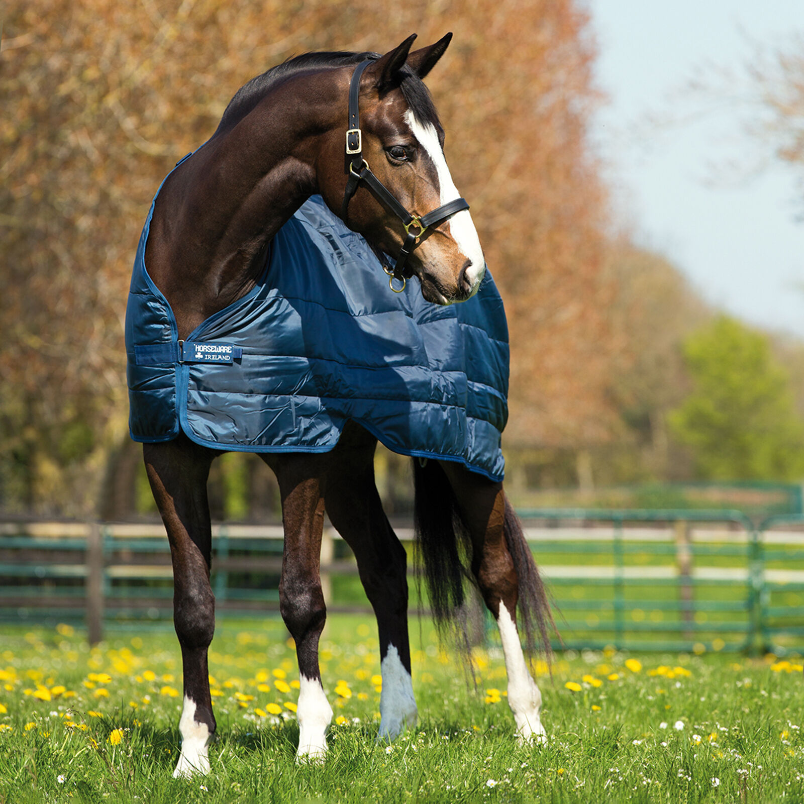 Horseware Stable Rugs