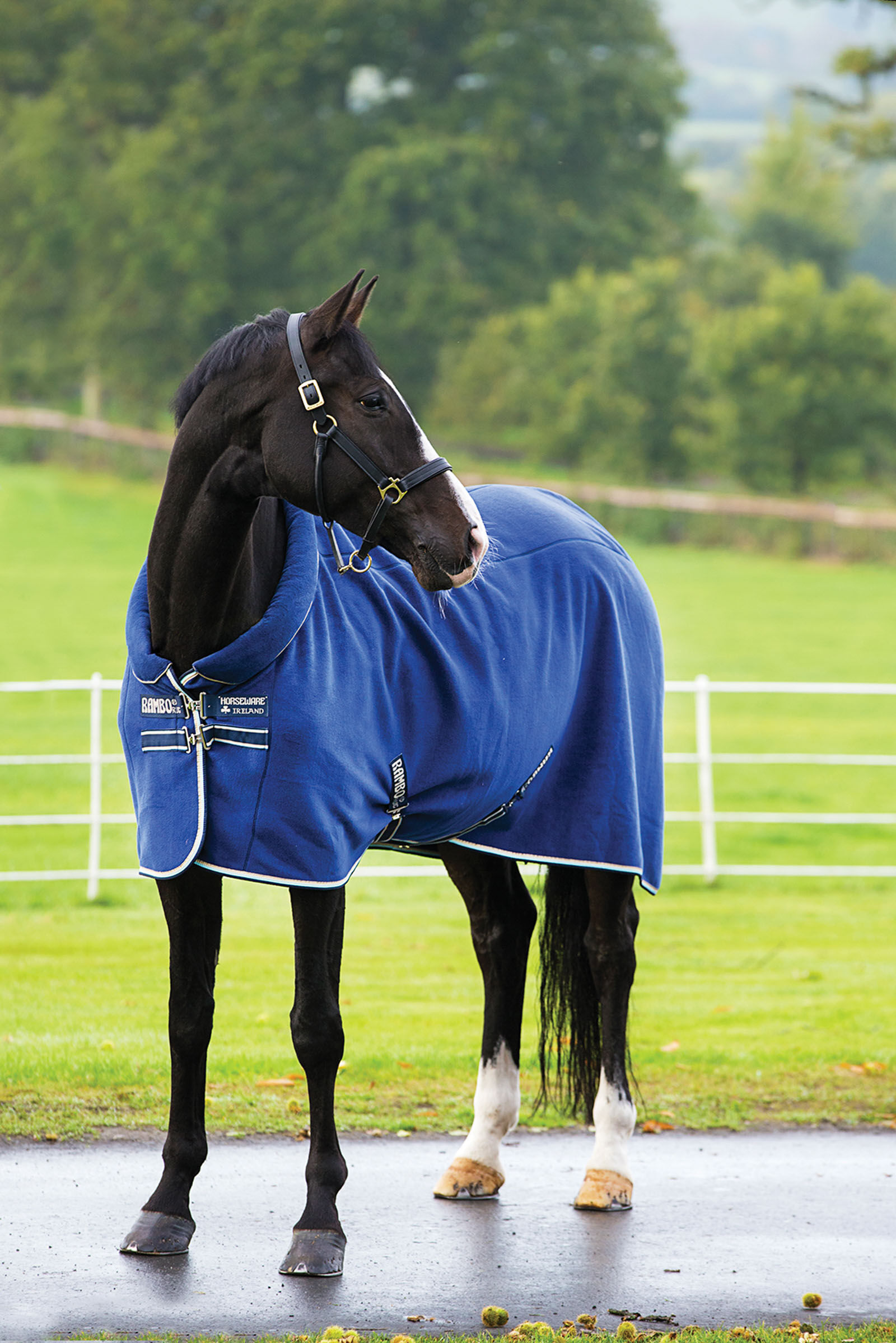 Horseware Coolers