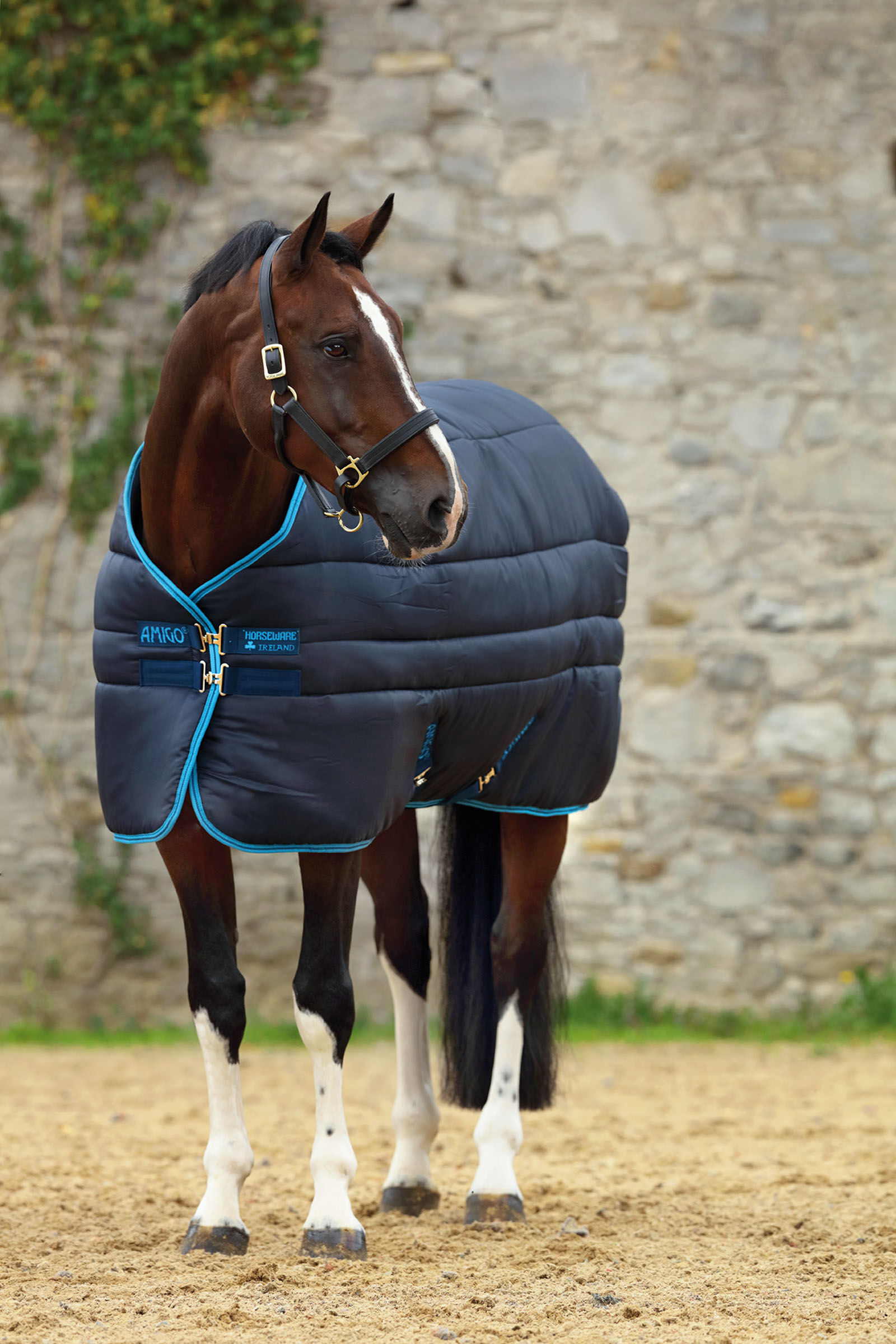 Horseware Amigo Insulator Plus Super Couverture écurie avec couvre-cou amovible, 550g, Navy/Electric Blue, 145