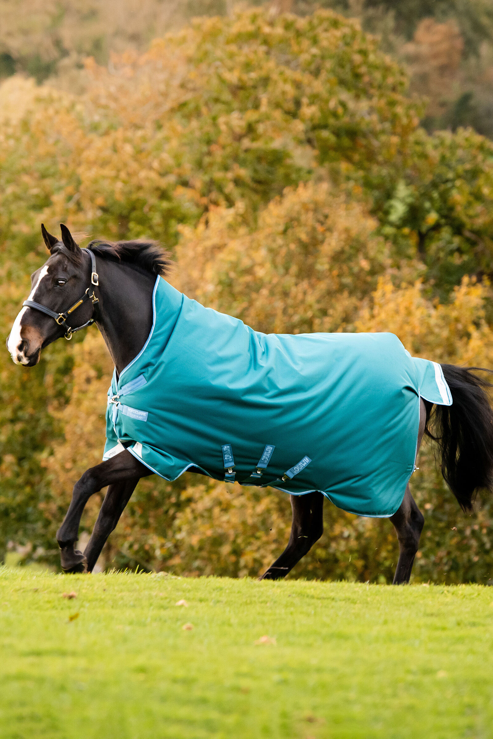 Horseware Amigo Bravo 12 Wug utetäcke med hög hals, 0 g, Storm Green, 155