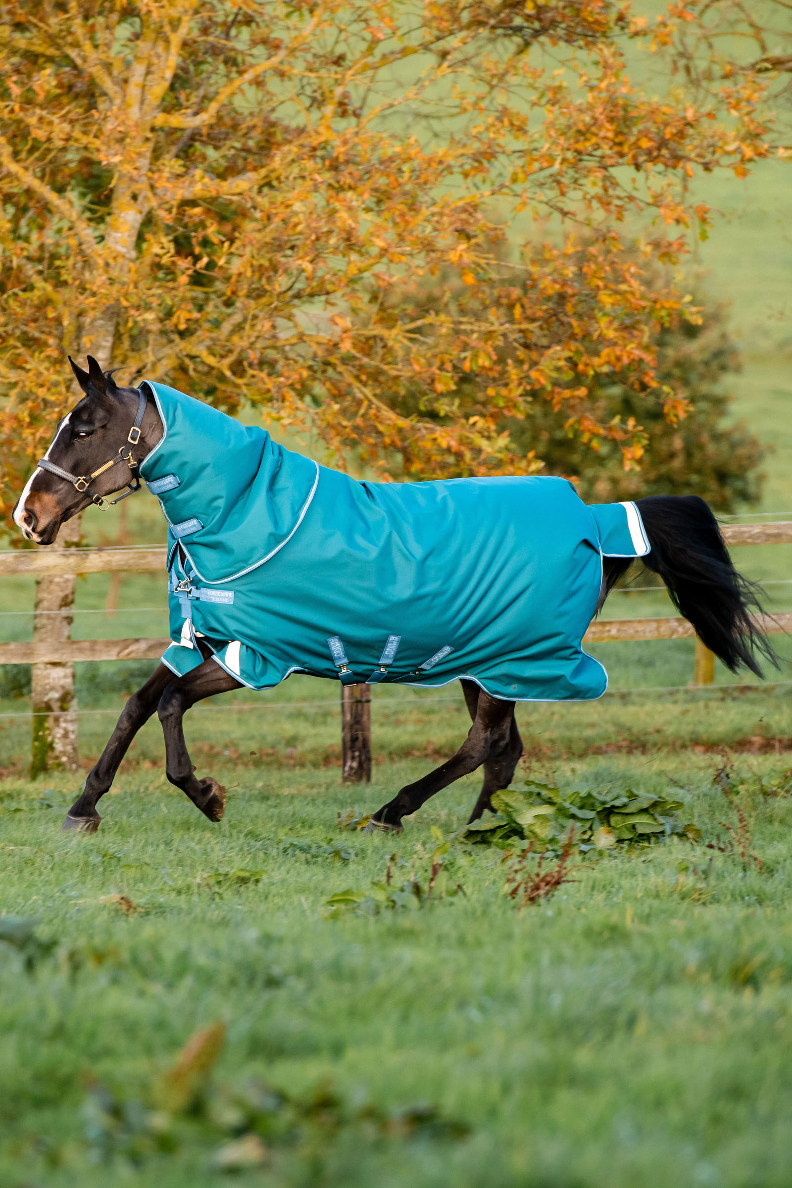 Horseware Amigo Bravo 12 Plus utetäcke med avtagbar hals, 400g, Storm Green, 155