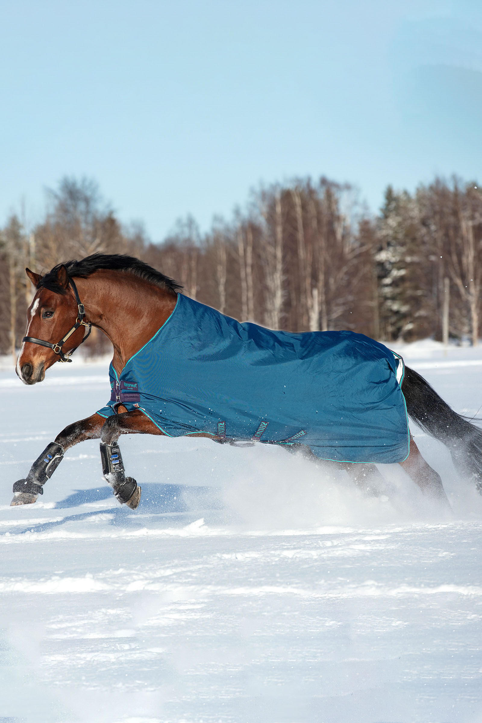 Horseware Rhino Original utetäcke Med VL, 250g