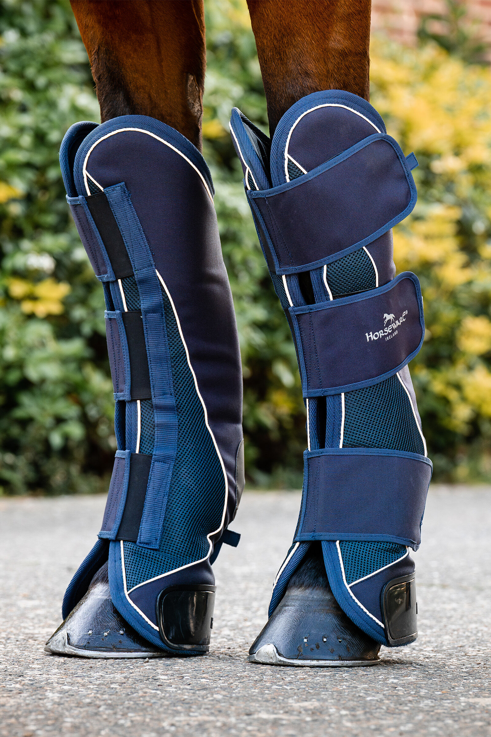 Horseware Signature Transport Benlindor