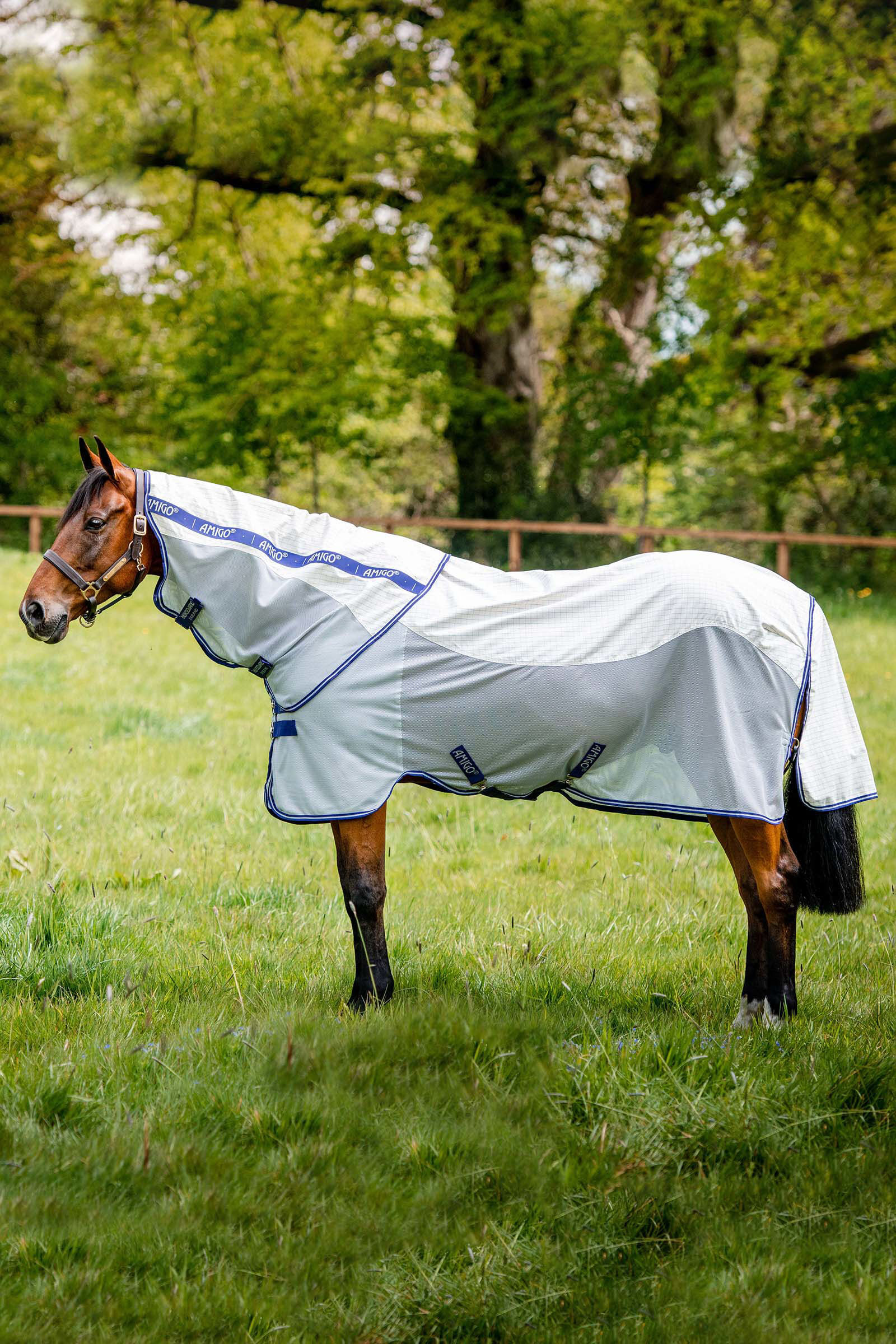Horseware Amigo Airflow flugtäcke med avtagbar halsdel
