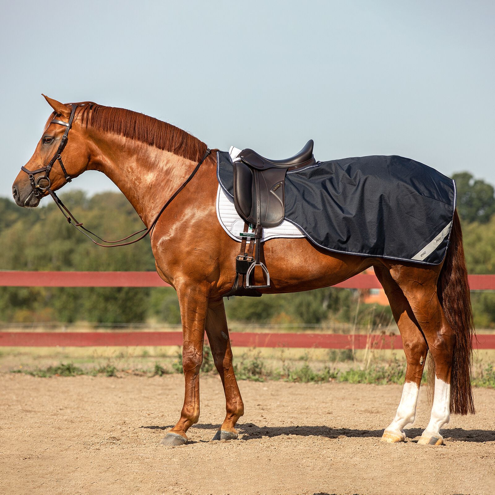 Horseware Quartersheets & Walker Rugs