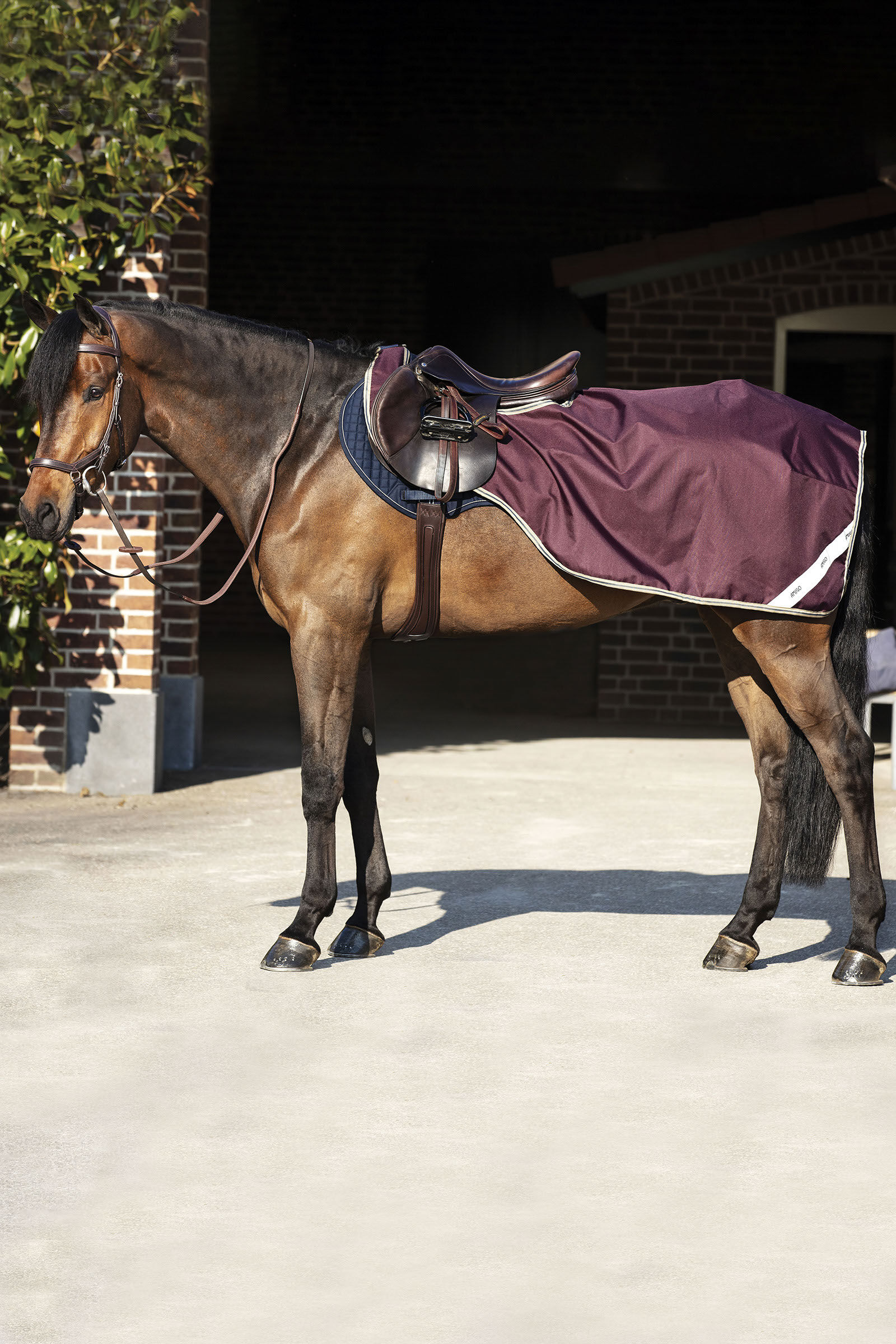 Horseware Quartersheets & Walker Rugs