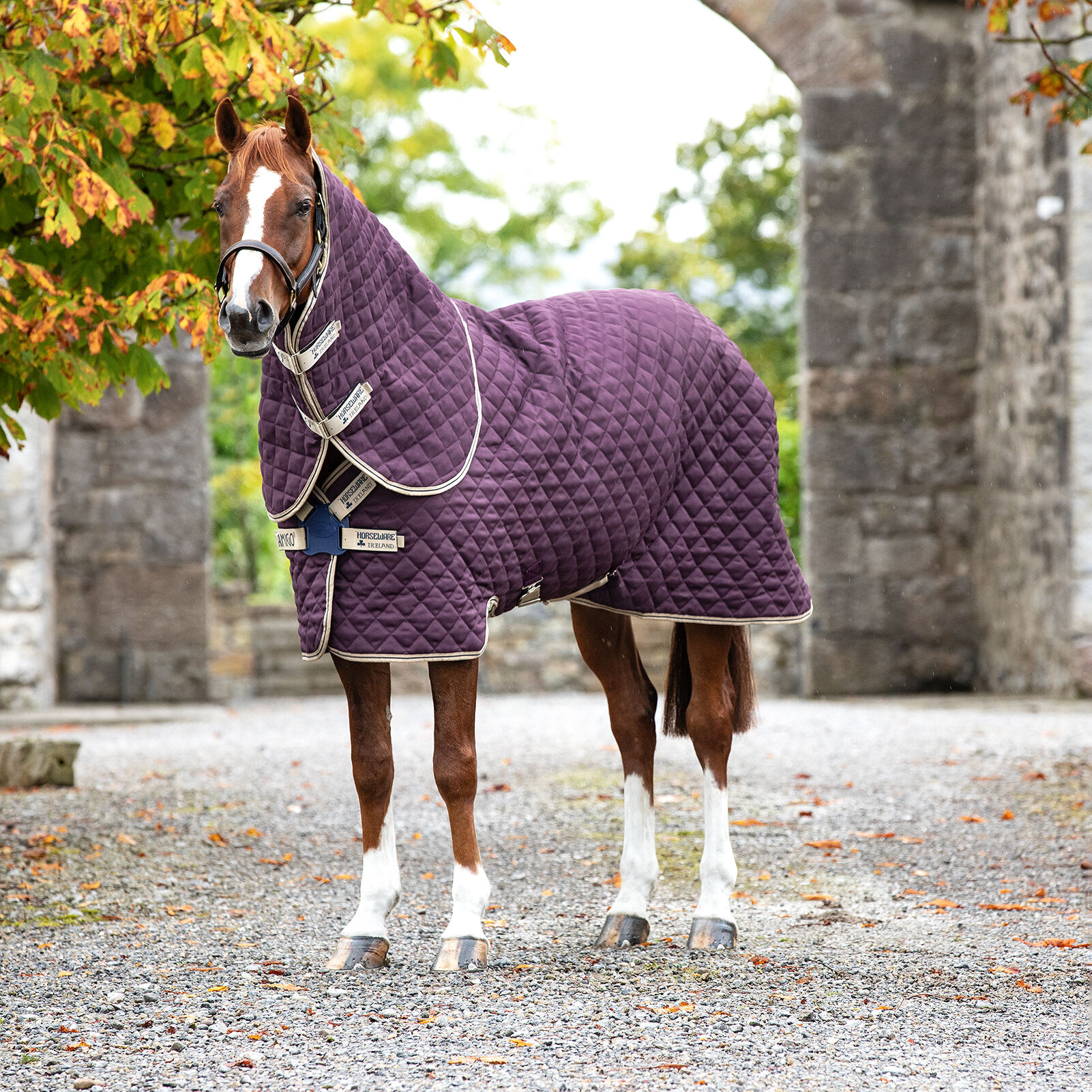 Horseware Amigo Stable Plus stalltäcke med avtagbart halstäcke, 200g
