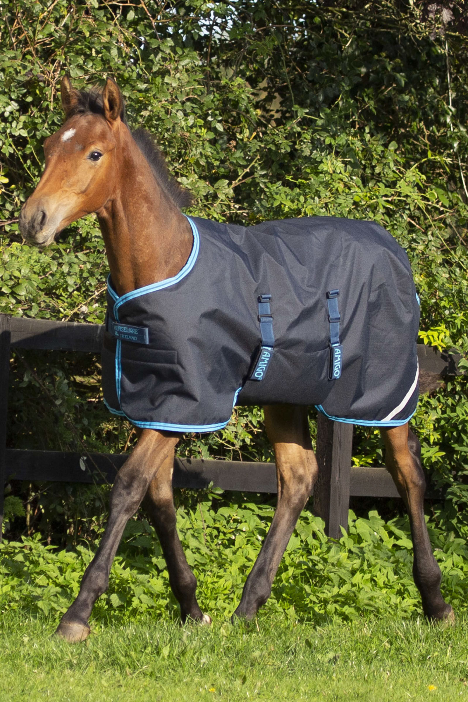 Couverture Horseware Amigo antidéchirure, 200 g, poulain, Navy/Electric Blue, 80