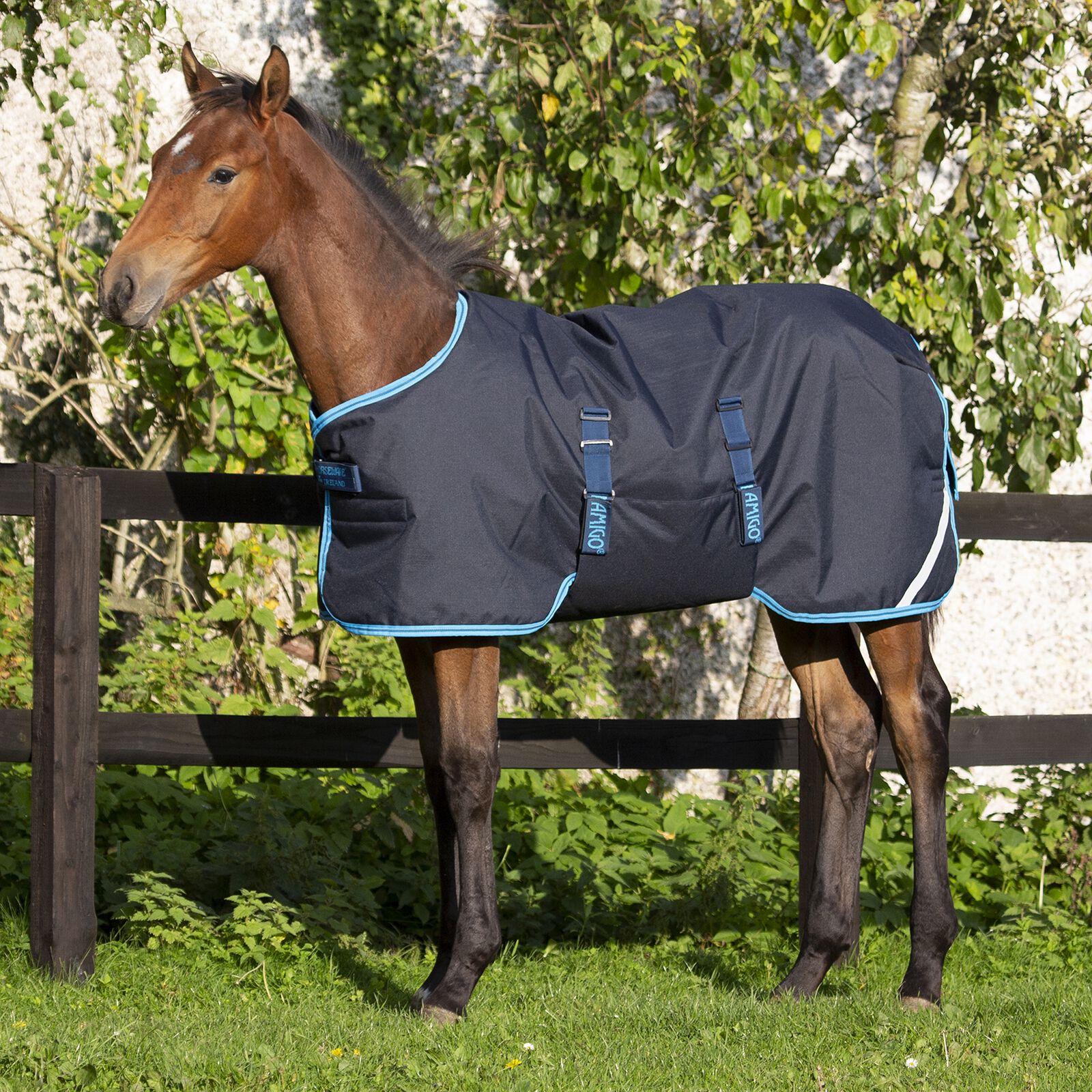Couverture Horseware Amigo antidéchirure, 50 g, poulain, Navy/Electric Blue, 80